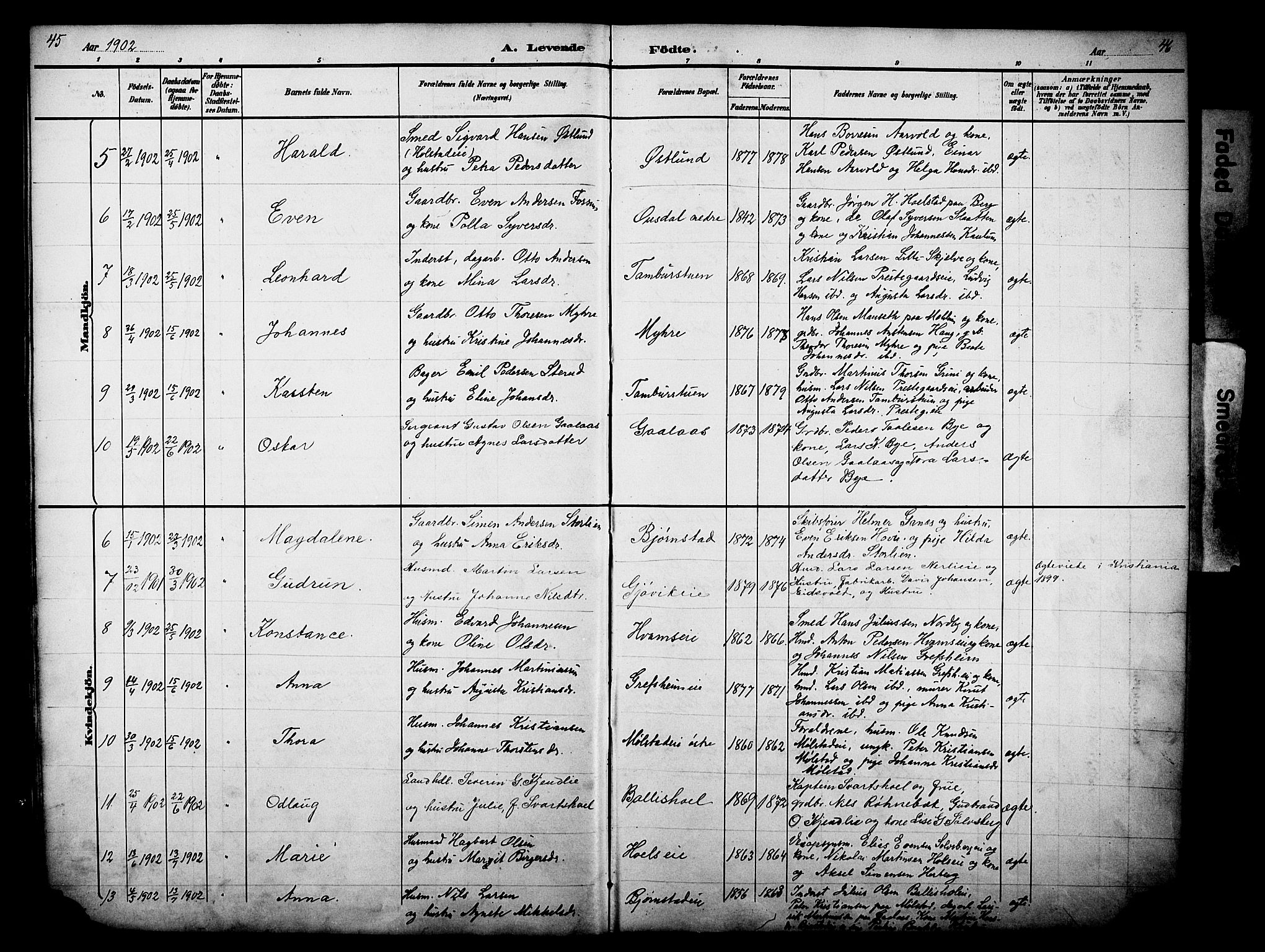 Nes prestekontor, Hedmark, AV/SAH-PREST-020/L/La/L0006: Parish register (copy) no. 6, 1890-1932, p. 45-46