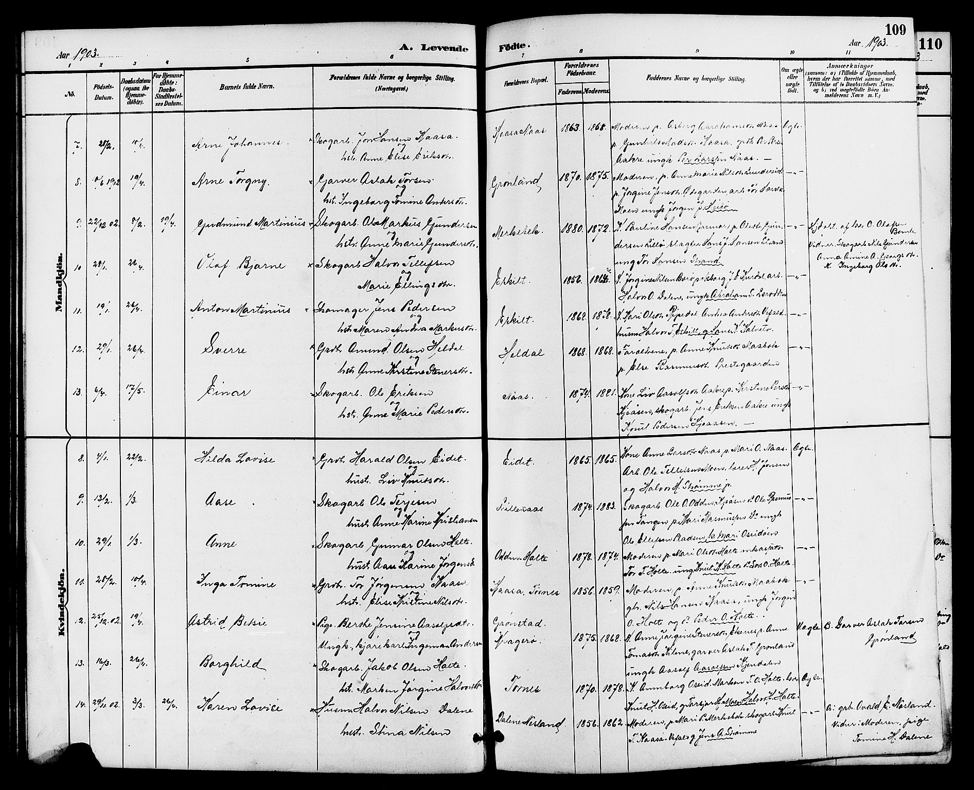 Drangedal kirkebøker, AV/SAKO-A-258/G/Ga/L0003: Parish register (copy) no. I 3, 1887-1906, p. 109