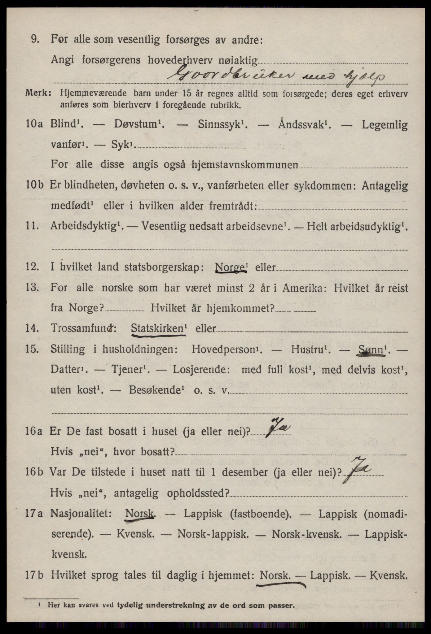 SAT, 1920 census for Støren, 1920, p. 1395