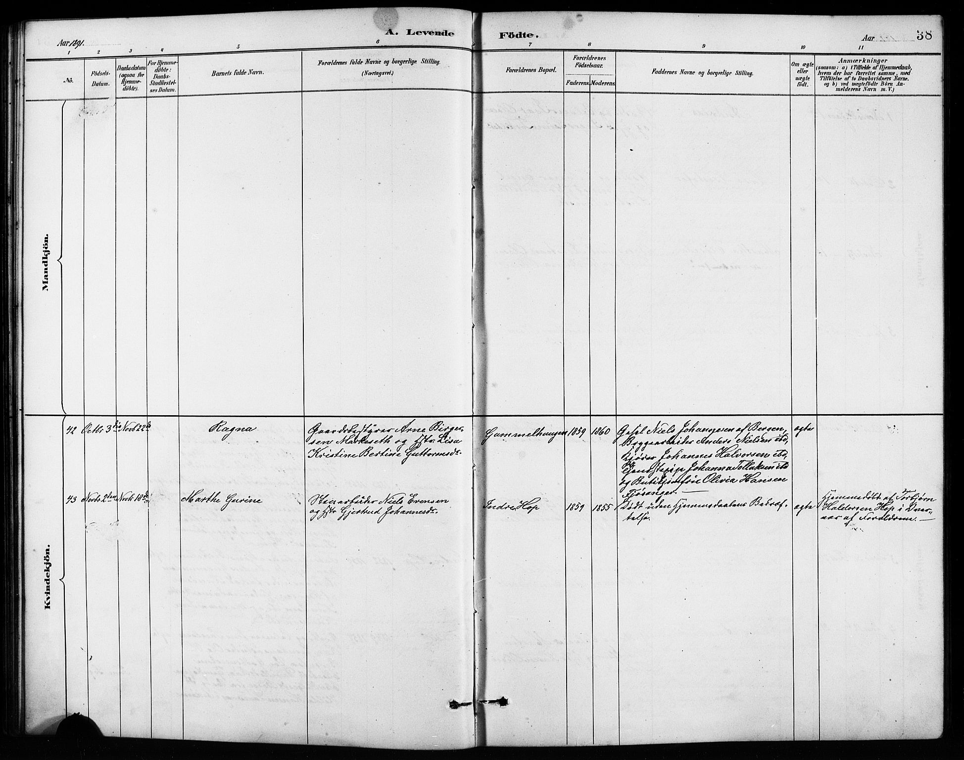Birkeland Sokneprestembete, SAB/A-74601/H/Hab: Parish register (copy) no. A 4, 1888-1897, p. 38
