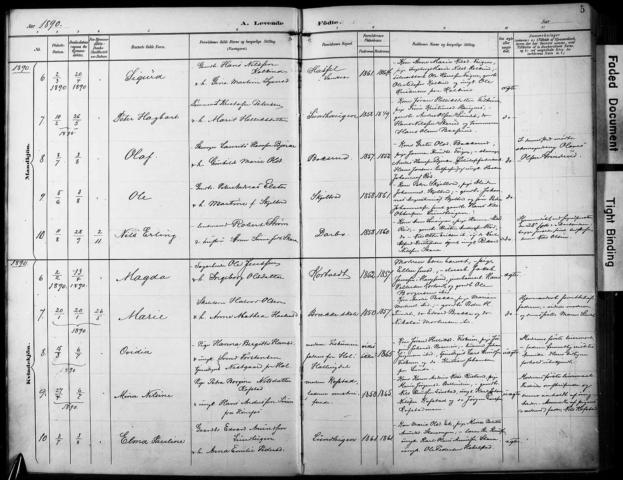 Fiskum kirkebøker, SAKO/A-15/F/Fa/L0003: Parish register (official) no. 3, 1890-1905, p. 5