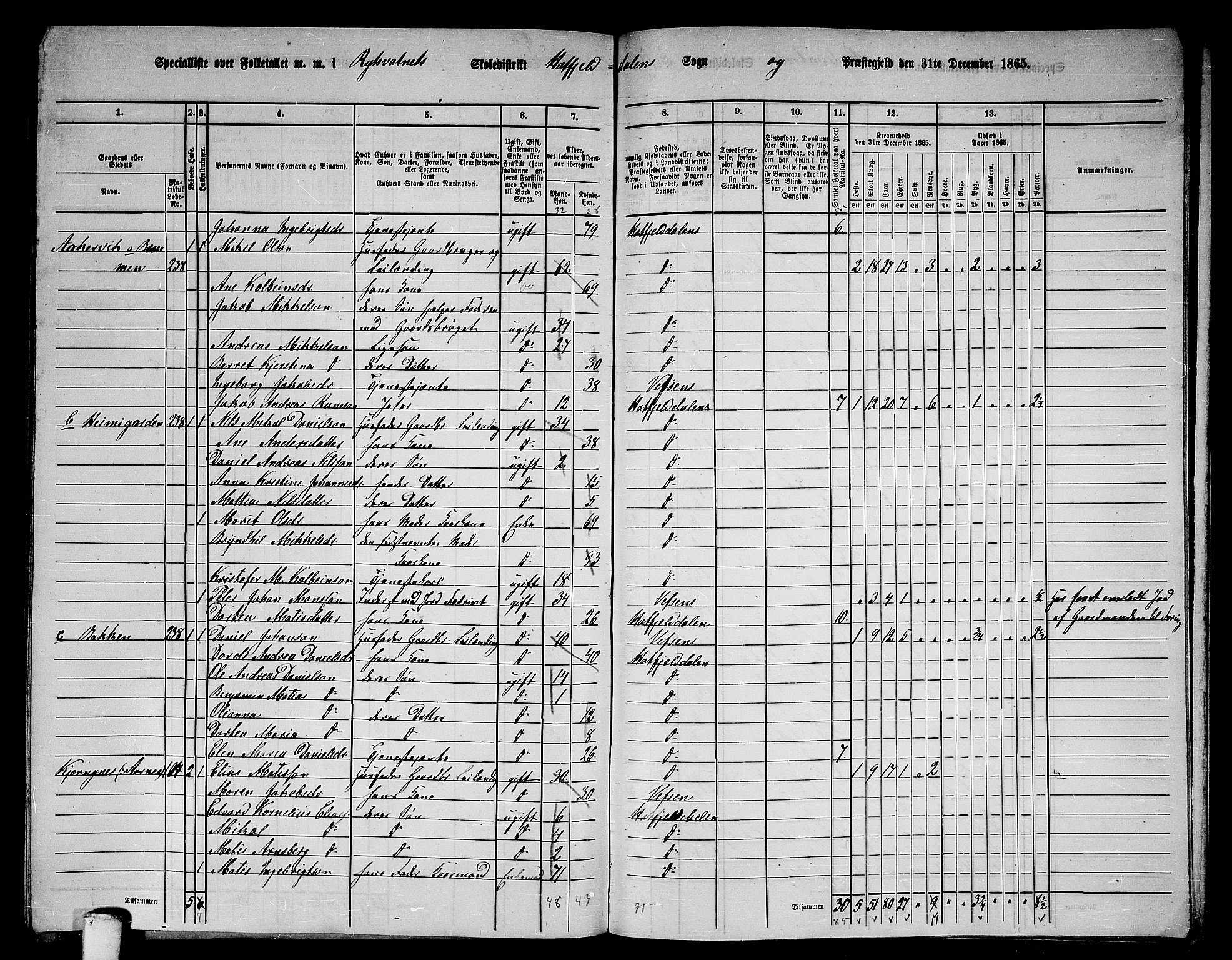 RA, 1865 census for Hattfjelldal, 1865, p. 39