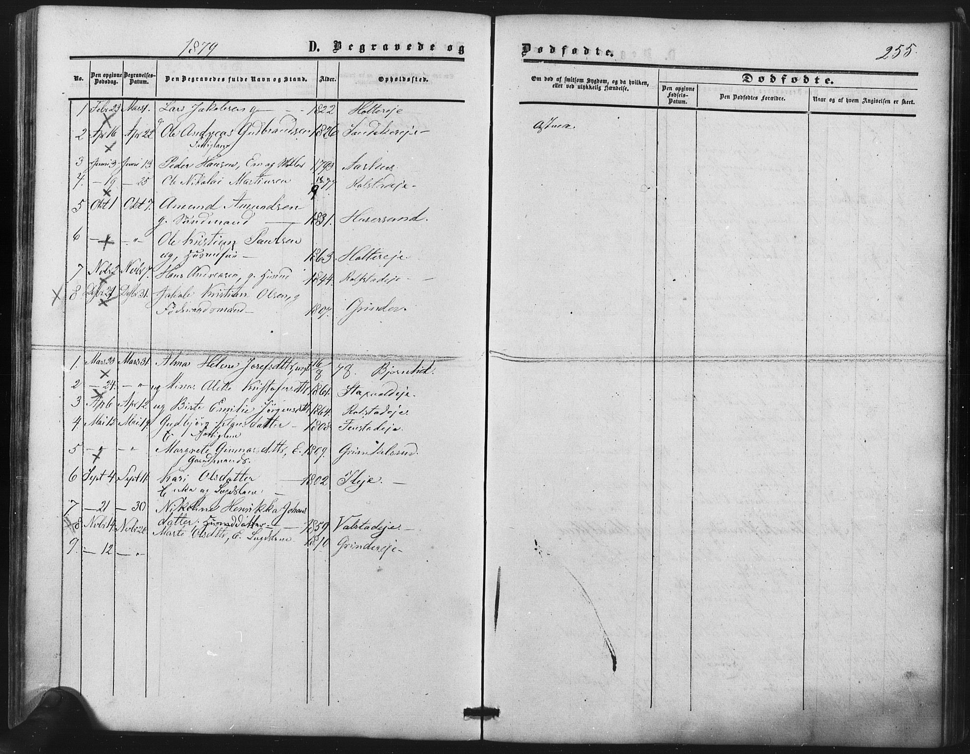 Nes prestekontor Kirkebøker, AV/SAO-A-10410/F/Fb/L0001: Parish register (official) no. II 1, 1859-1882, p. 255