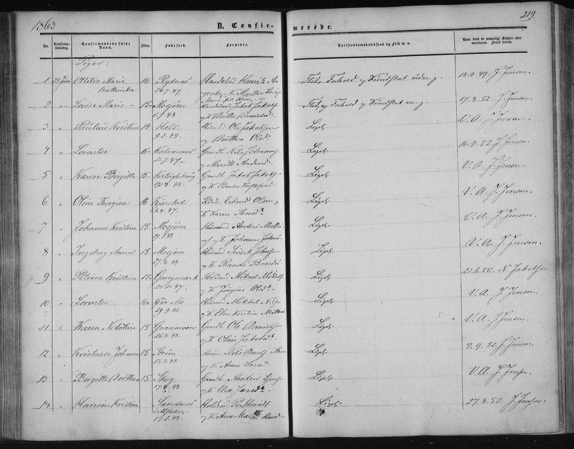 Ministerialprotokoller, klokkerbøker og fødselsregistre - Nordland, AV/SAT-A-1459/820/L0293: Parish register (official) no. 820A14, 1855-1865, p. 219