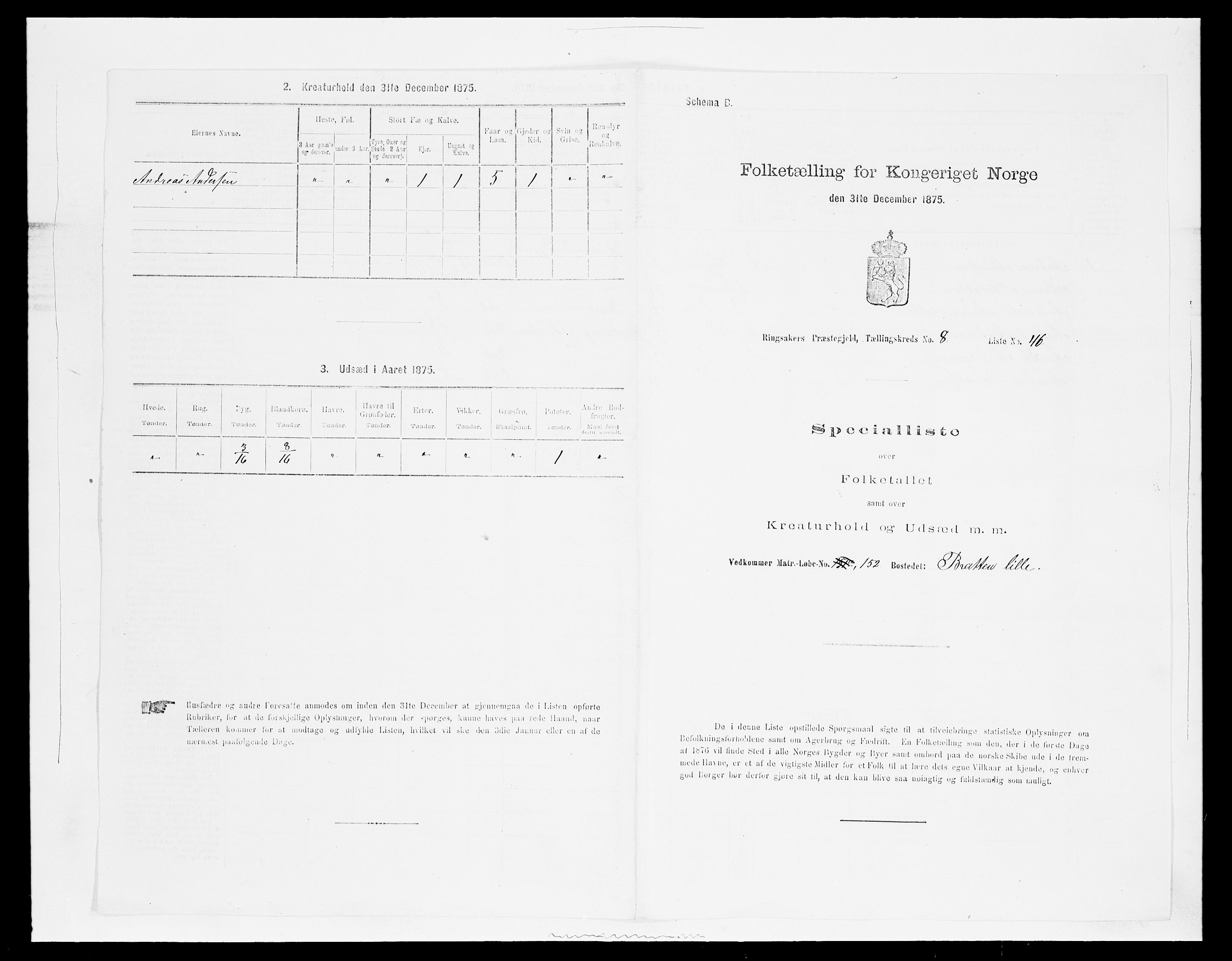 SAH, 1875 census for 0412P Ringsaker, 1875, p. 1718