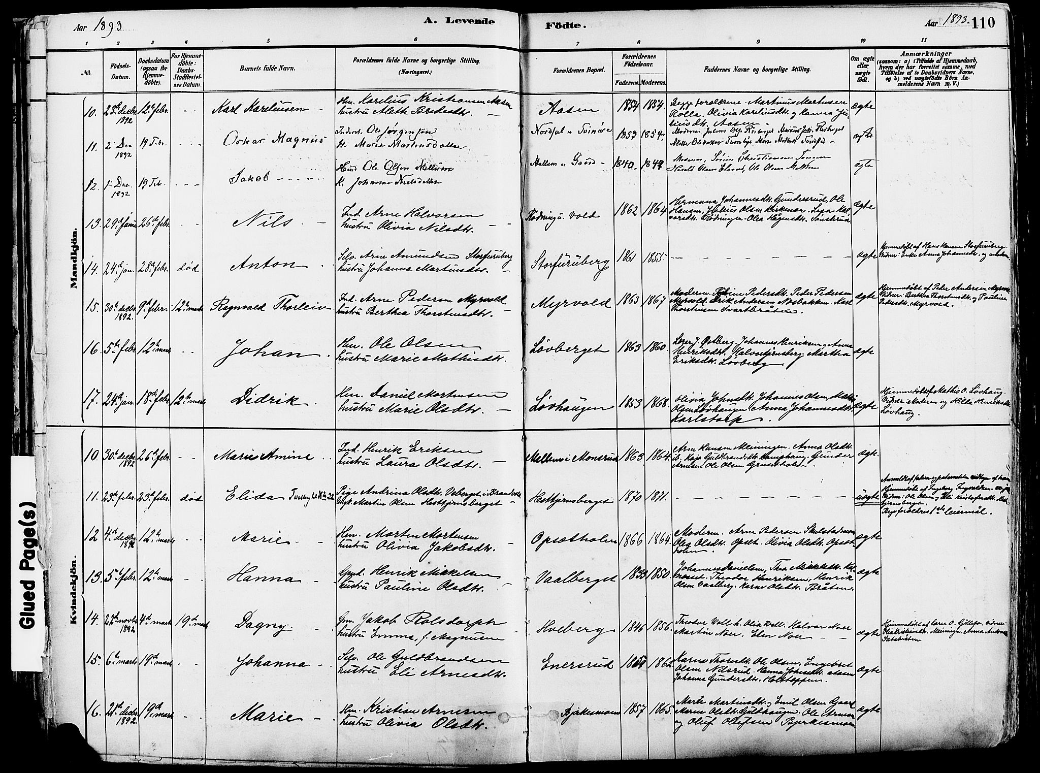 Grue prestekontor, SAH/PREST-036/H/Ha/Haa/L0012: Parish register (official) no. 12, 1881-1897, p. 110
