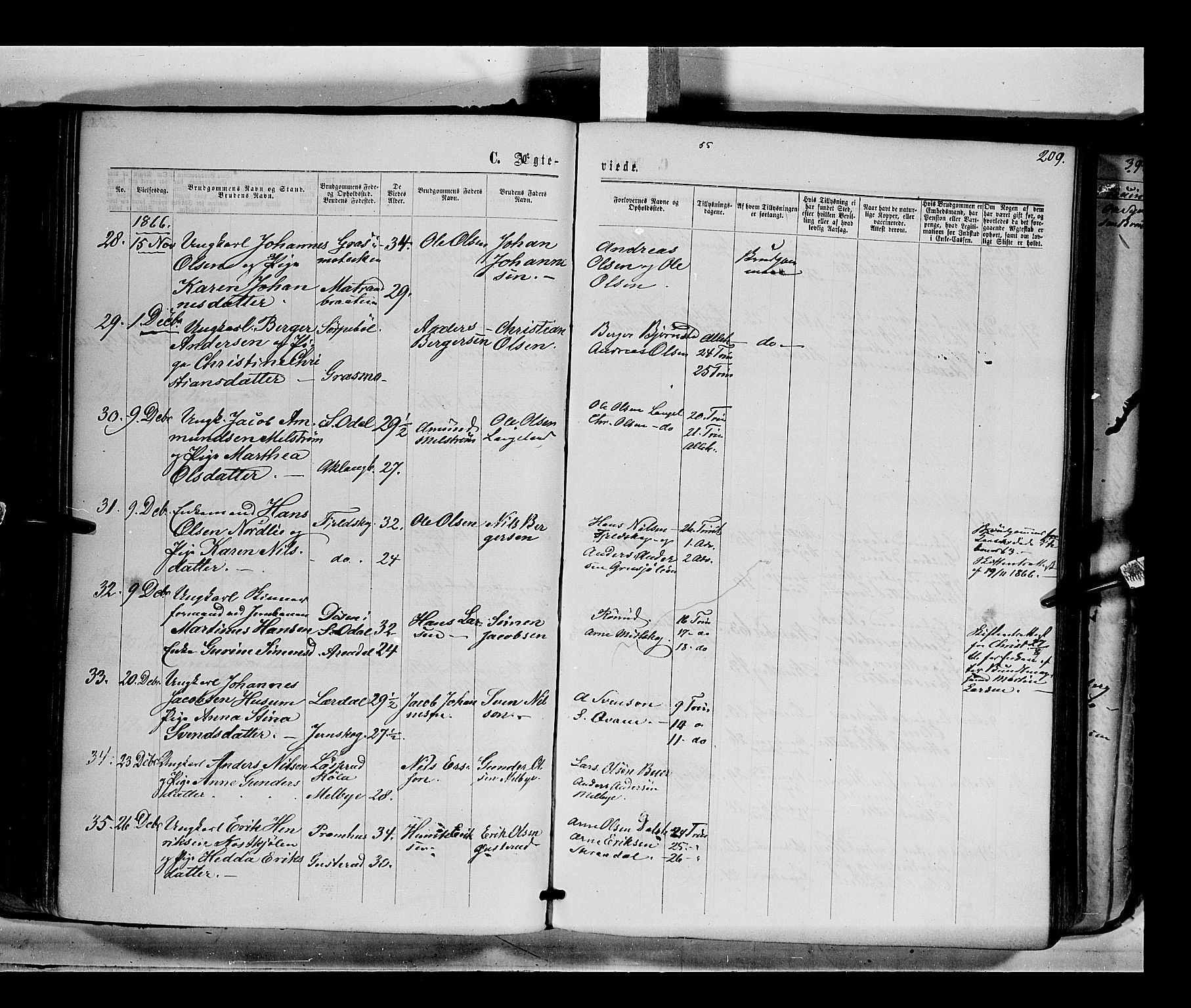 Eidskog prestekontor, AV/SAH-PREST-026/H/Ha/Haa/L0001: Parish register (official) no. 1, 1860-1867, p. 209