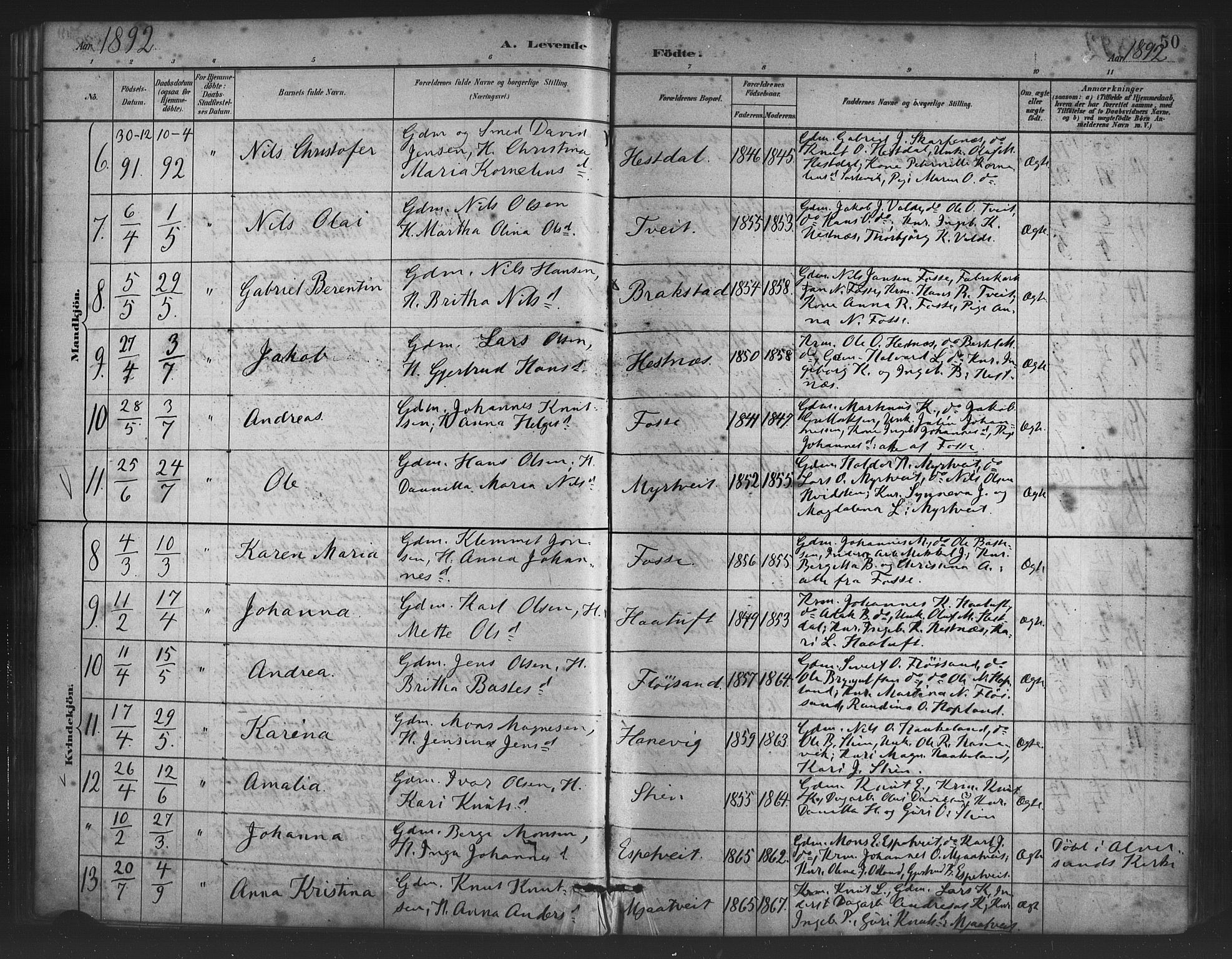 Alversund Sokneprestembete, AV/SAB-A-73901/H/Ha/Haa/Haac/L0001: Parish register (official) no. C 1, 1882-1900, p. 50