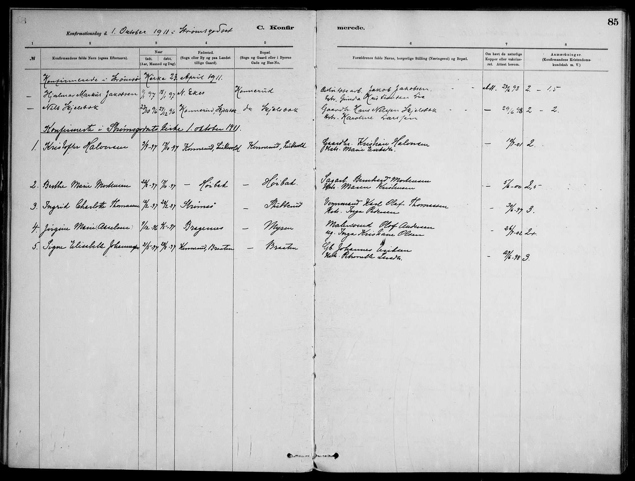 Skoger kirkebøker, AV/SAKO-A-59/F/Fb/L0001: Parish register (official) no. II 1, 1885-1913, p. 85