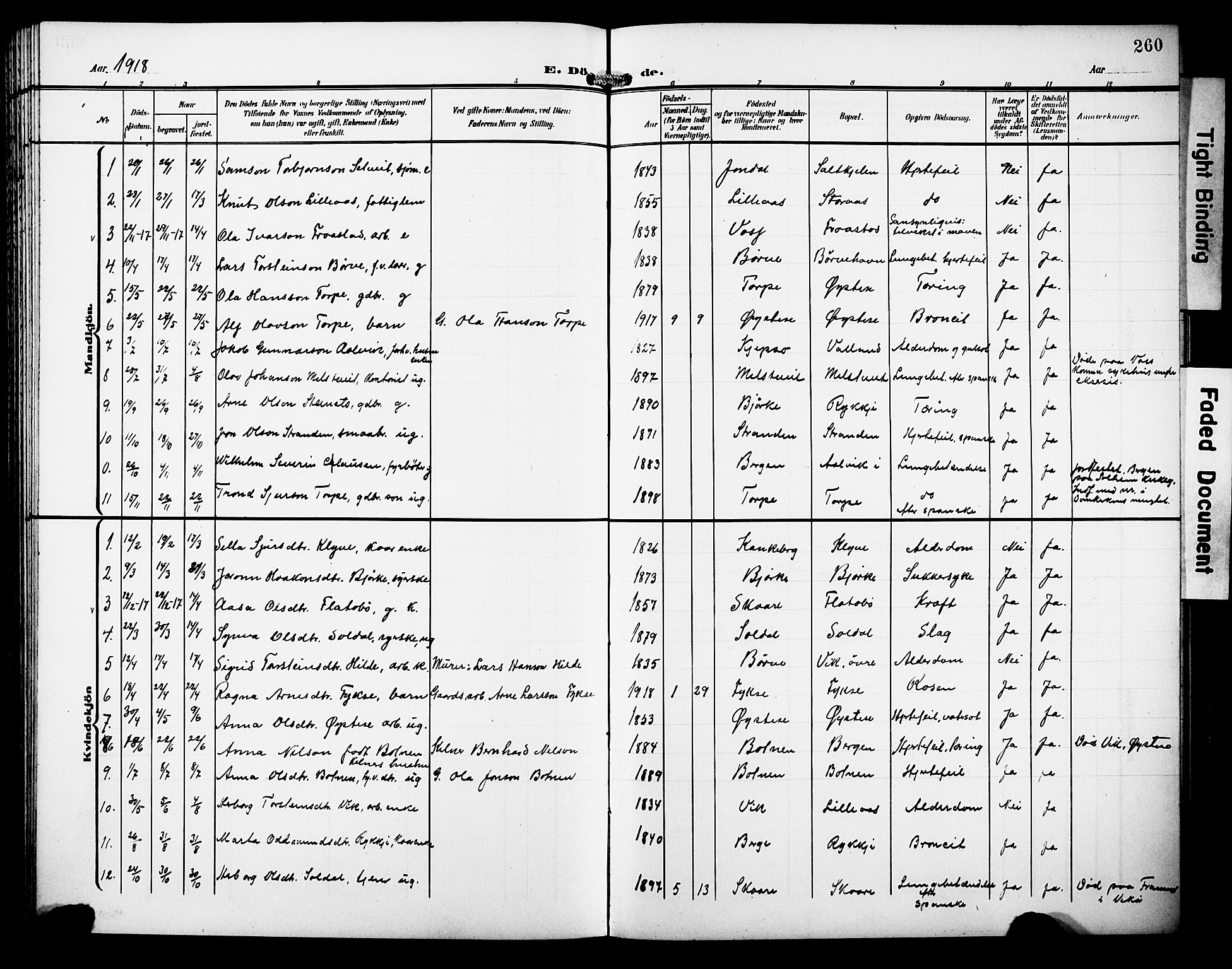 Kvam sokneprestembete, AV/SAB-A-76201/H/Hab: Parish register (copy) no. C 4, 1906-1931, p. 260