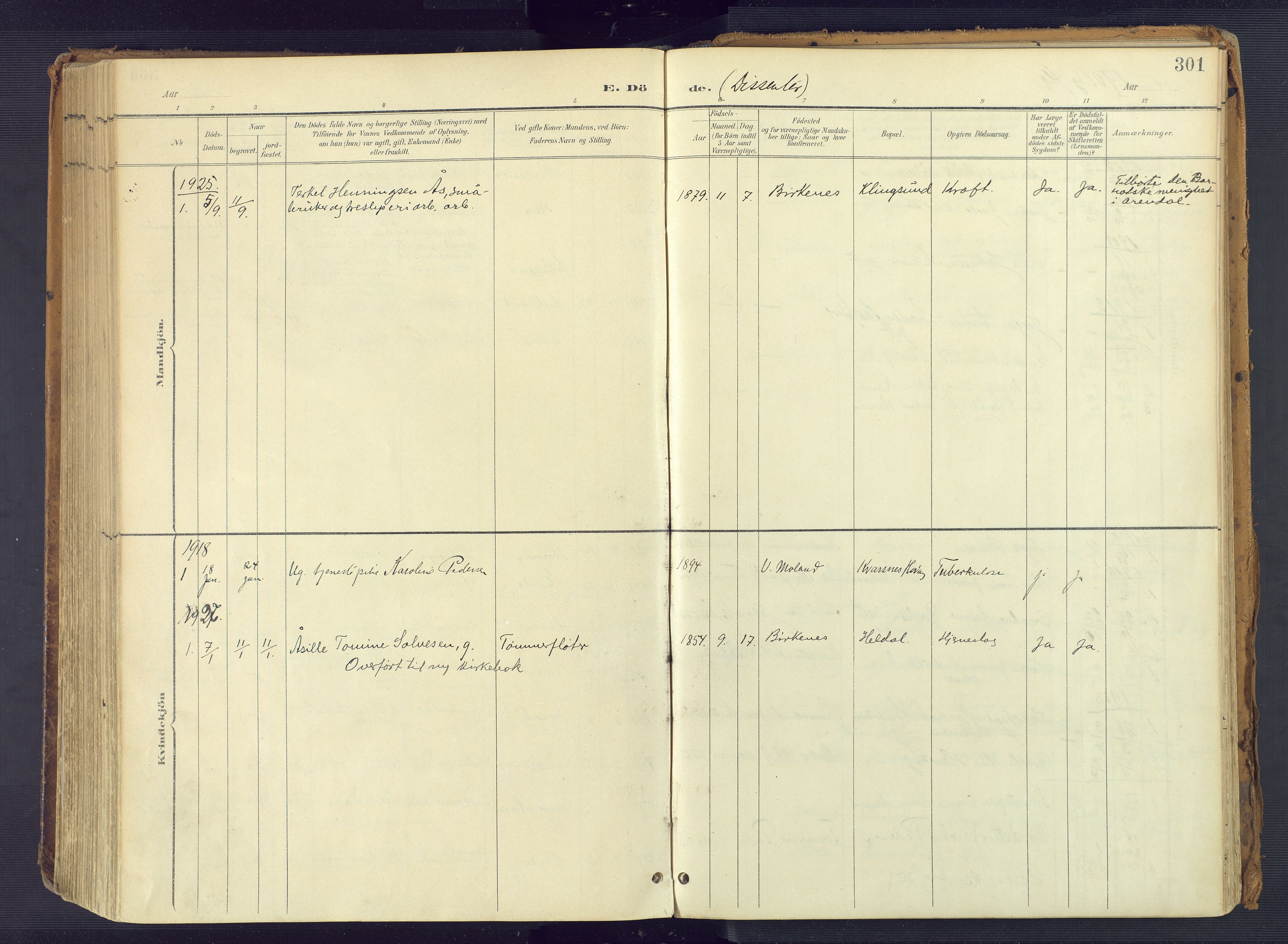 Vestre Moland sokneprestkontor, SAK/1111-0046/F/Fa/Fab/L0010: Parish register (official) no. A 10, 1900-1926, p. 301