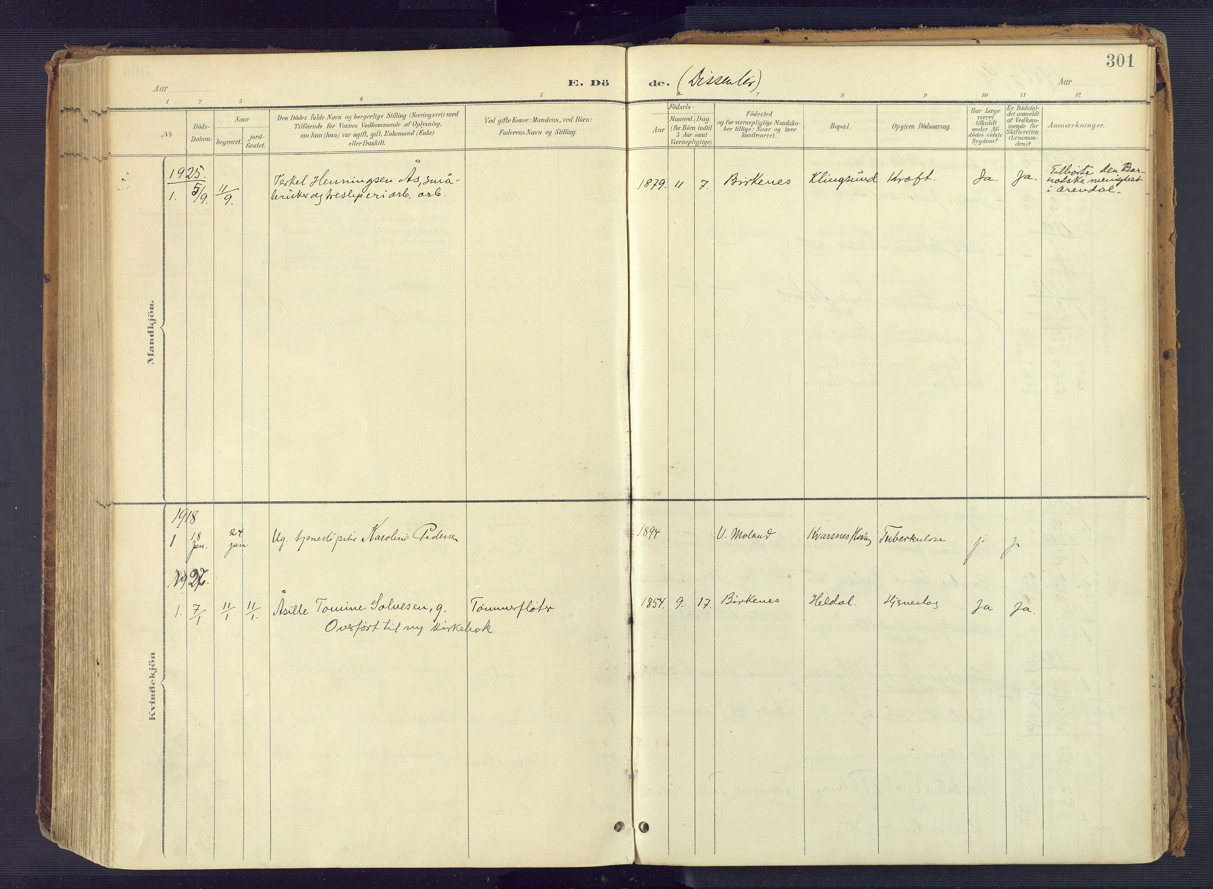 Vestre Moland sokneprestkontor, AV/SAK-1111-0046/F/Fa/Fab/L0010: Parish register (official) no. A 10, 1900-1926, p. 301