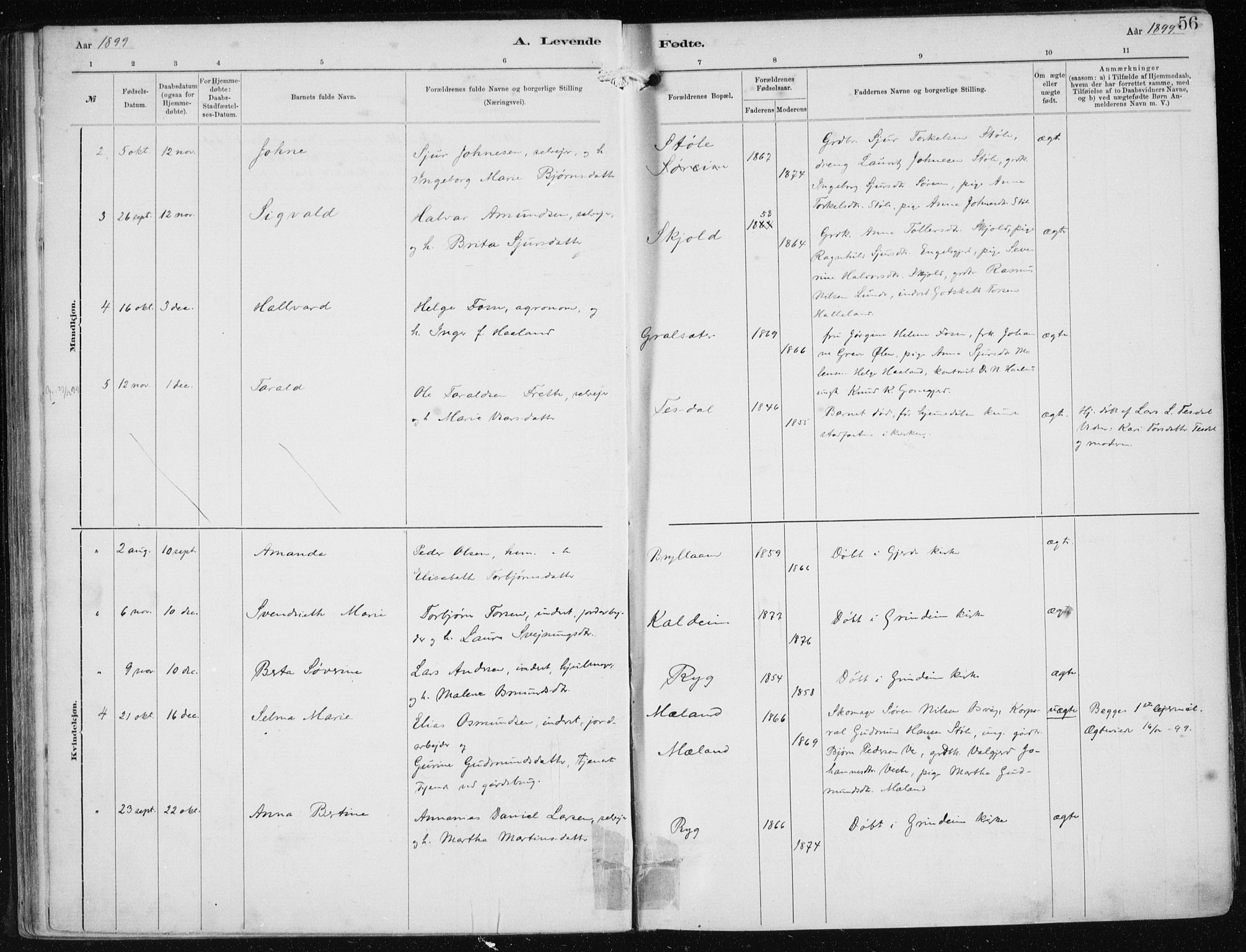 Etne sokneprestembete, AV/SAB-A-75001/H/Haa: Parish register (official) no. B  1, 1879-1919, p. 56