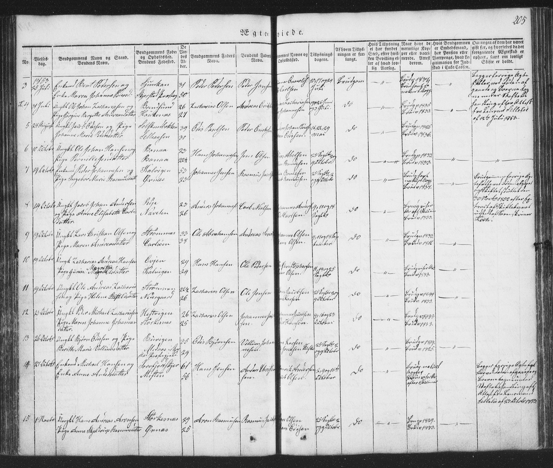 Ministerialprotokoller, klokkerbøker og fødselsregistre - Nordland, AV/SAT-A-1459/853/L0769: Parish register (official) no. 853A08, 1836-1856, p. 205