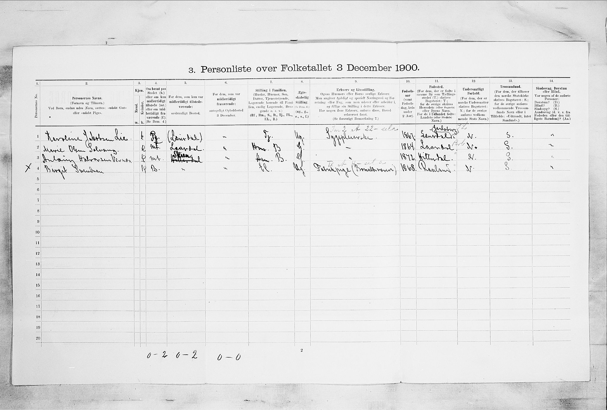 SAKO, 1900 census for Skien, 1900, p. 303