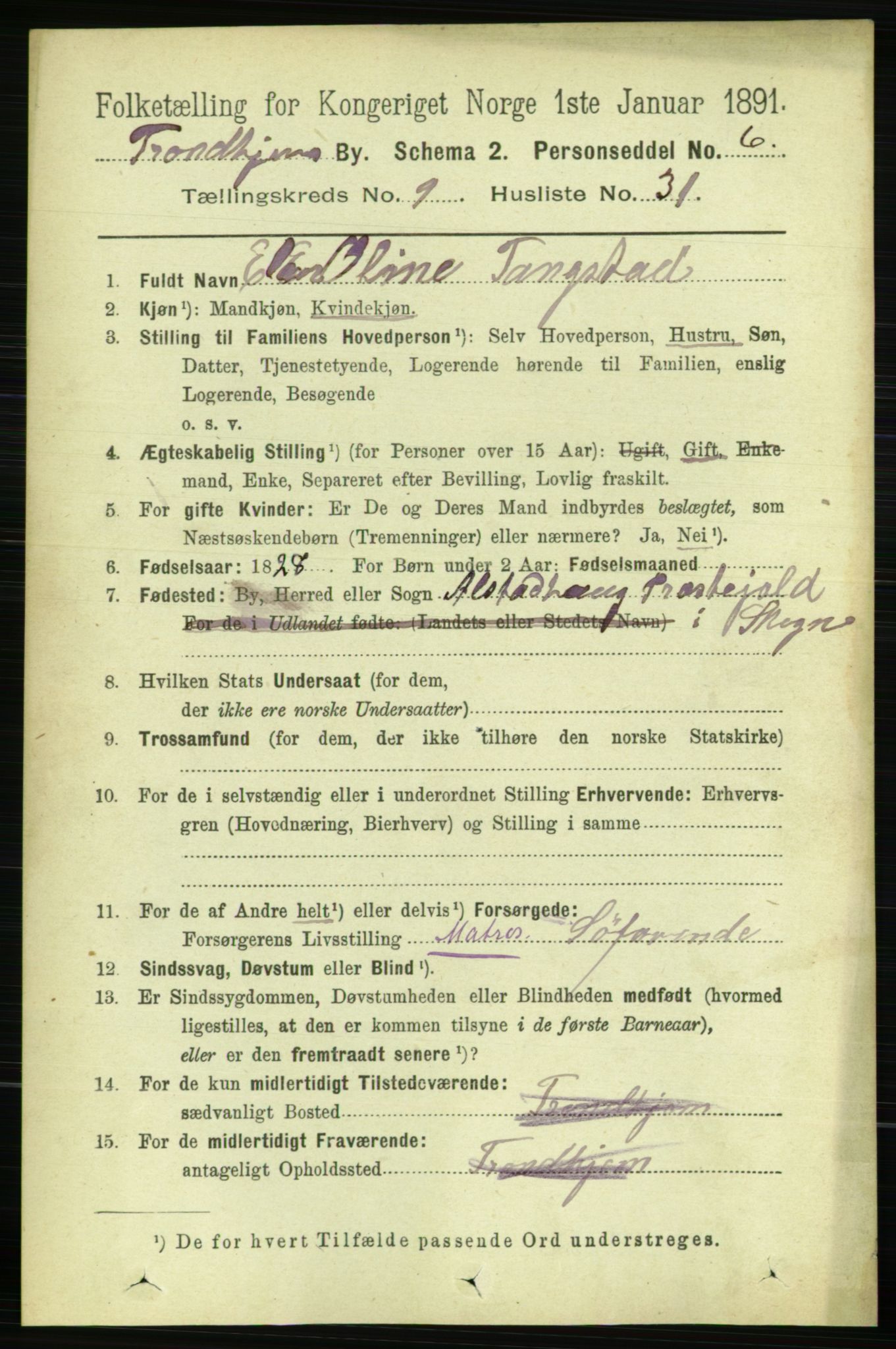 RA, 1891 census for 1601 Trondheim, 1891, p. 8012