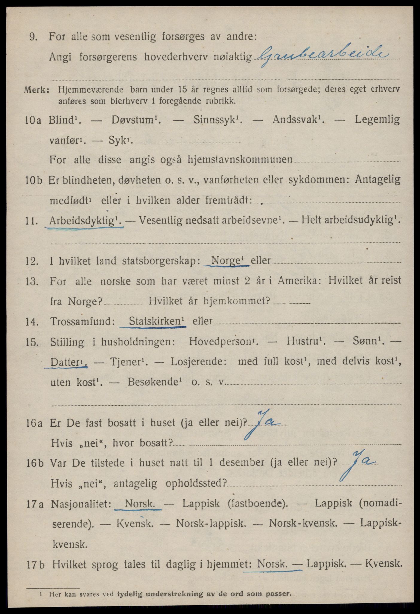 SAT, 1920 census for Røros, 1920, p. 8191