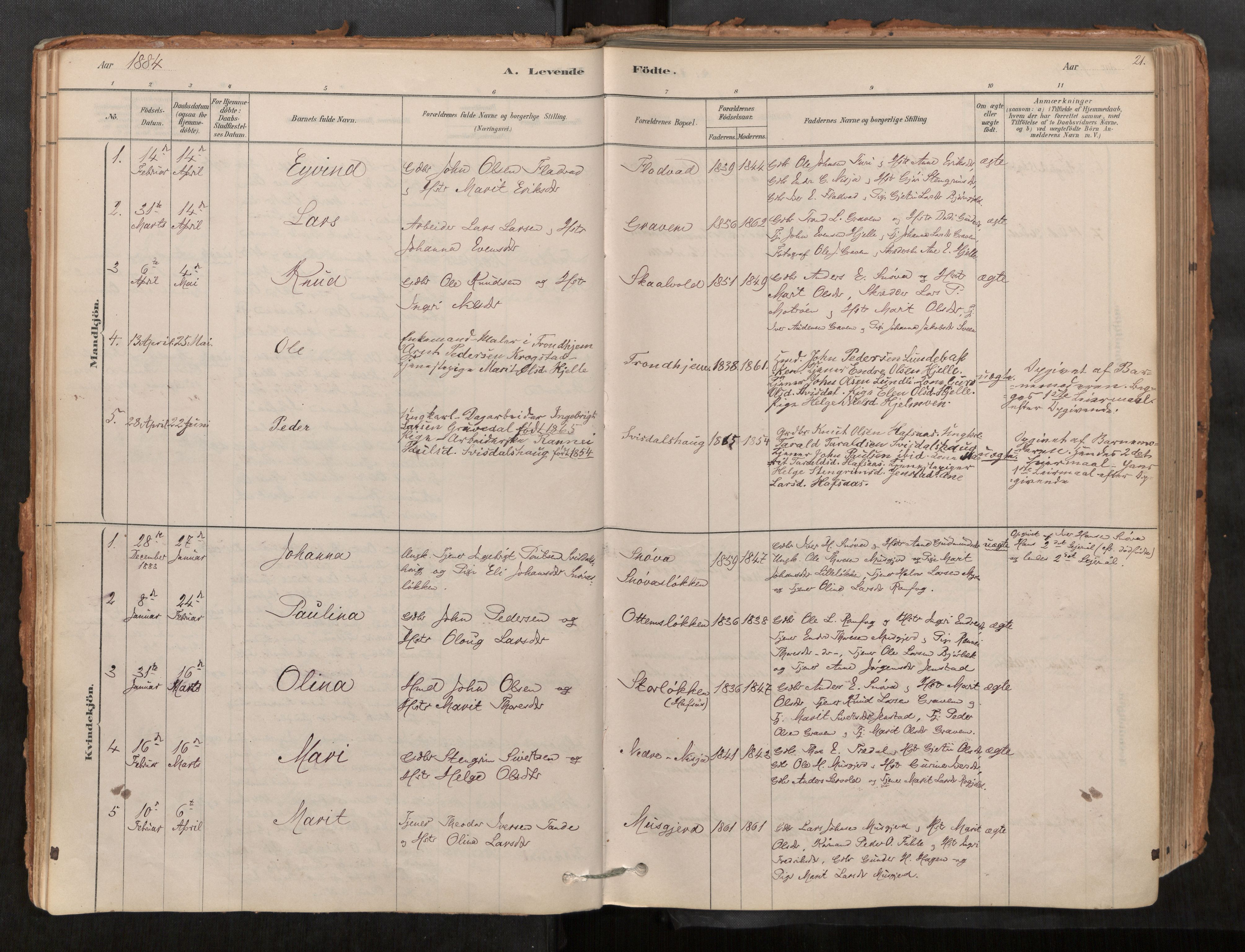 Sunndal sokneprestkontor, AV/SAT-A-1085/1/I/I1/I1a/L0001: Parish register (official) no. 1, 1877-1914, p. 21