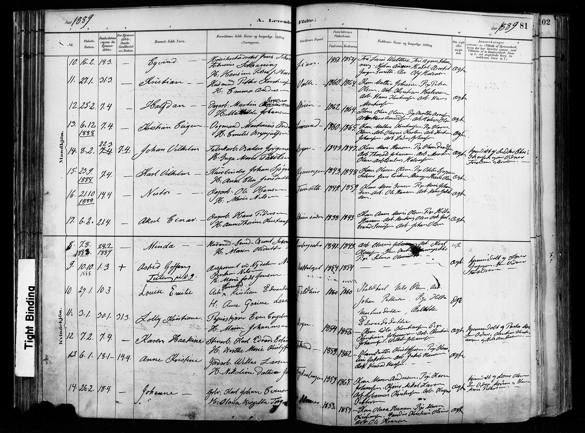 Østre Aker prestekontor Kirkebøker, SAO/A-10840/F/Fa/L0008: Parish register (official) no. I 8, 1883-1894, p. 81