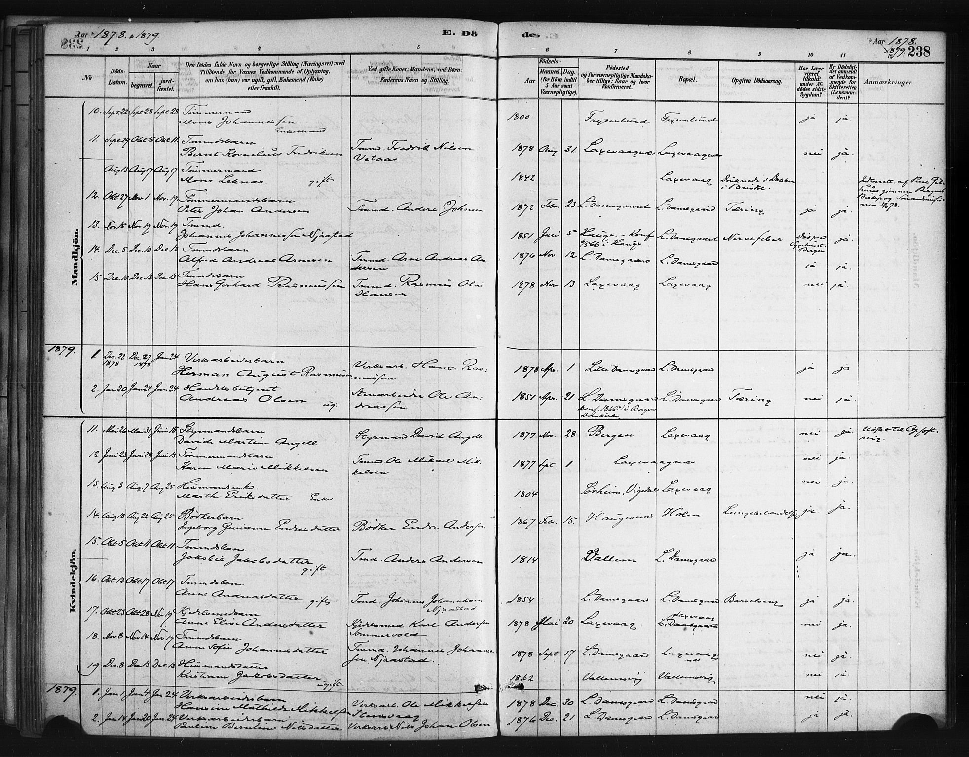 Askøy Sokneprestembete, SAB/A-74101/H/Ha/Haa/Haae/L0002: Parish register (official) no. E 2, 1878-1891, p. 238