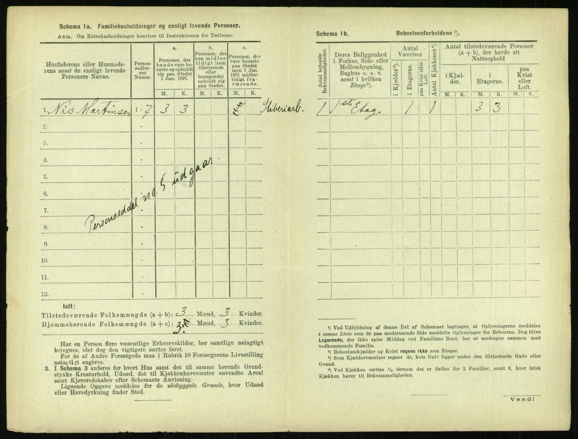 RA, 1891 census for 0806 Skien, 1891, p. 843