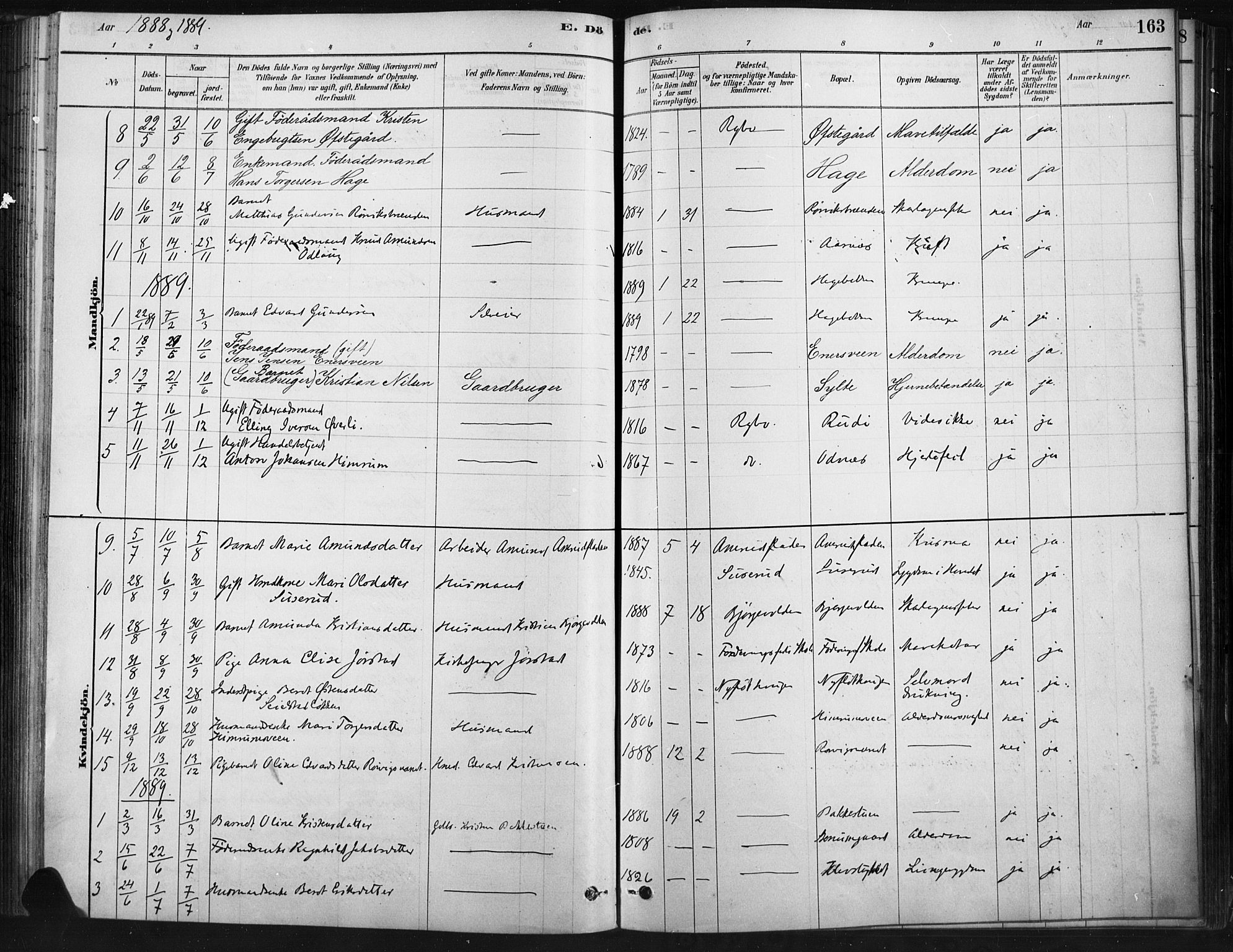 Ringebu prestekontor, AV/SAH-PREST-082/H/Ha/Haa/L0009: Parish register (official) no. 9, 1878-1898, p. 163