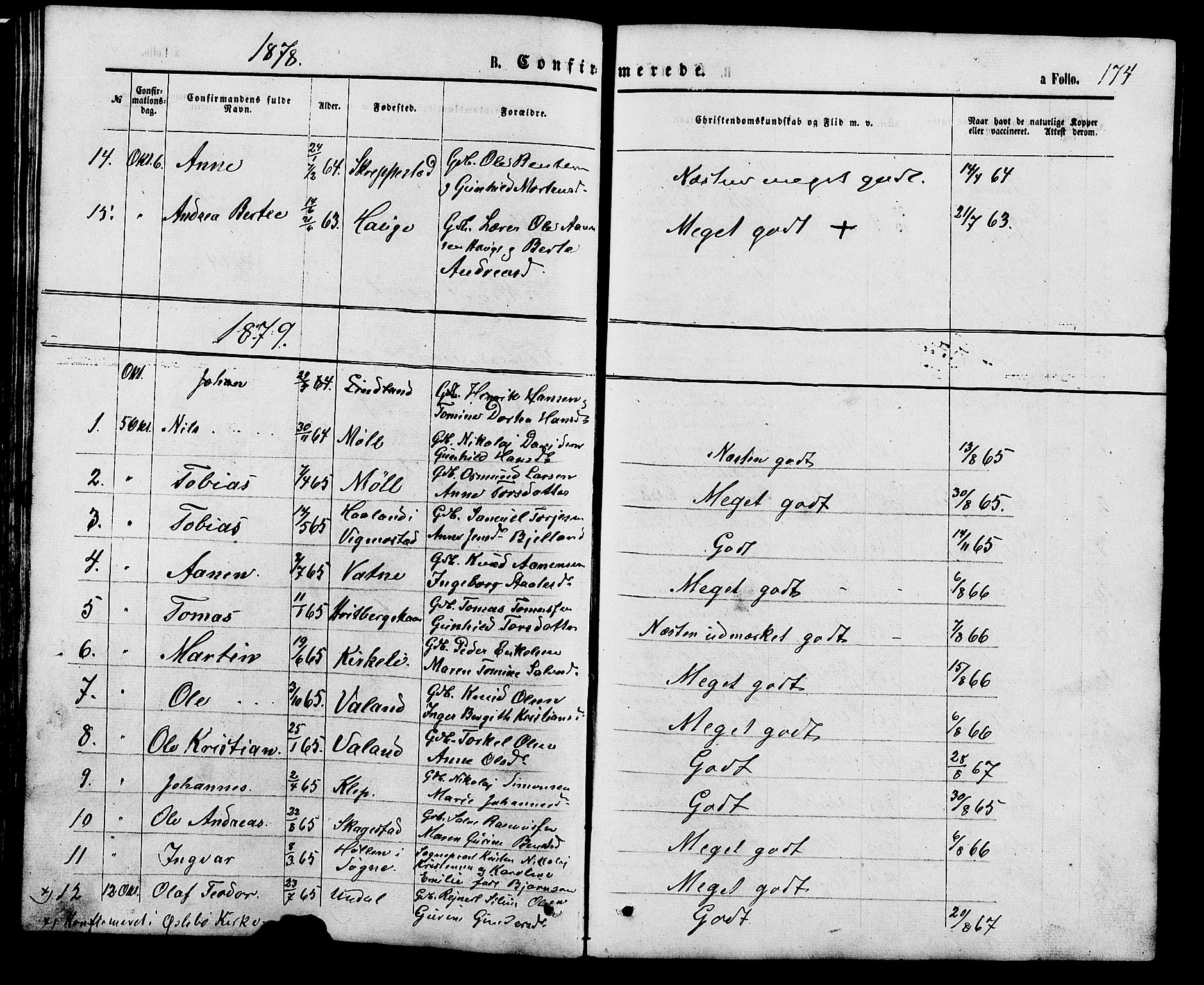 Holum sokneprestkontor, AV/SAK-1111-0022/F/Fb/Fba/L0004: Parish register (copy) no. B 4, 1867-1890, p. 174