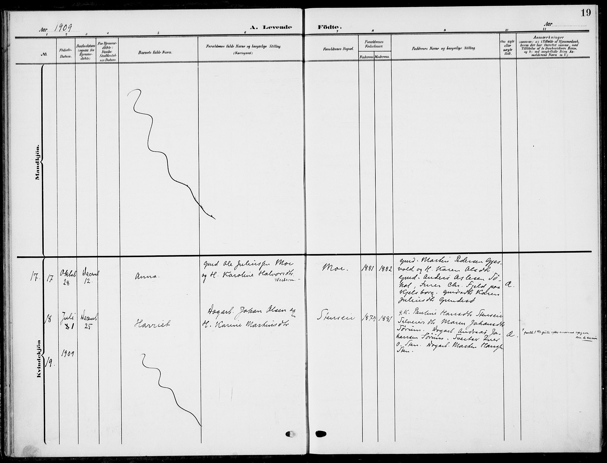 Hole kirkebøker, AV/SAKO-A-228/F/Fa/L0010: Parish register (official) no. I 10, 1907-1917, p. 19