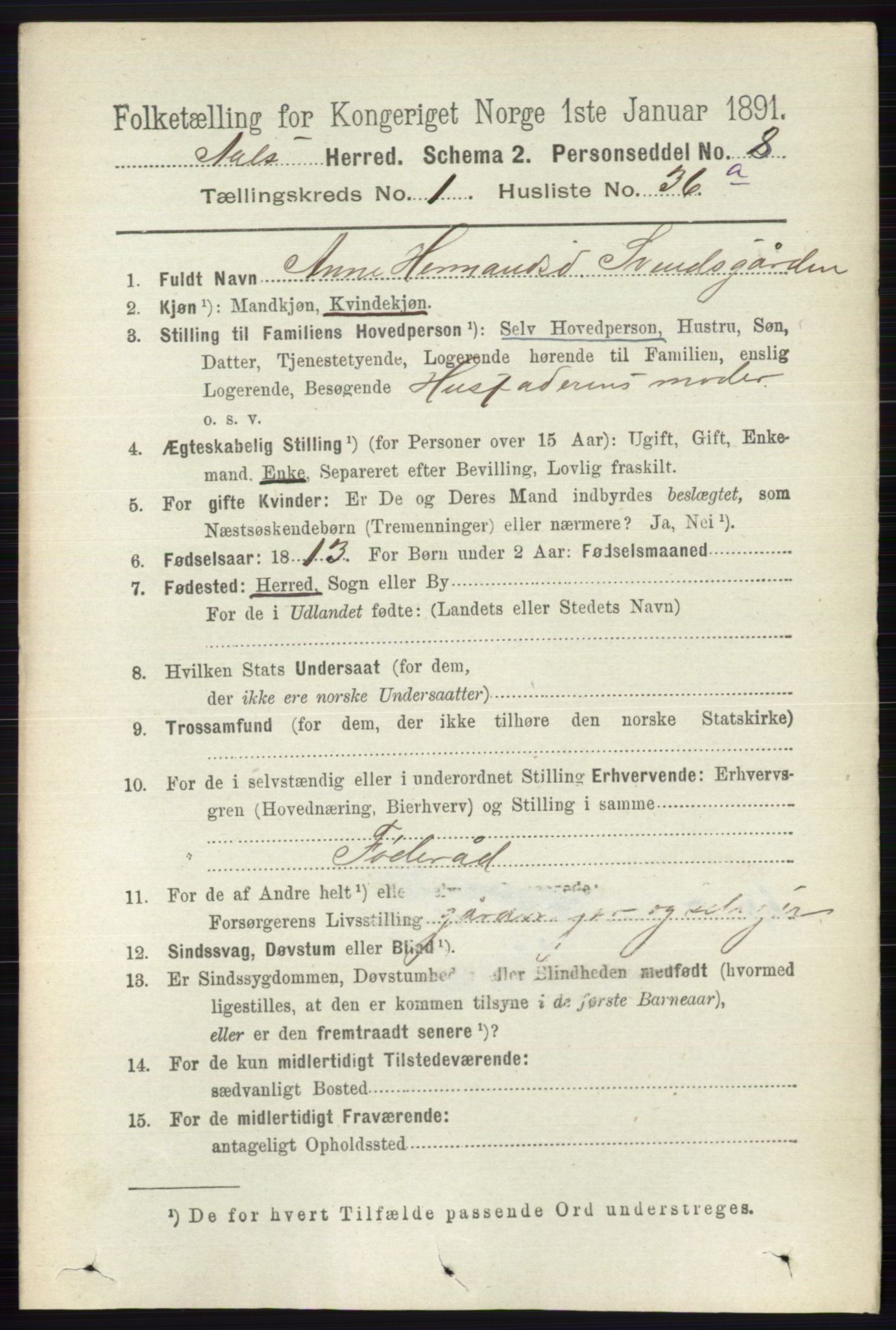 RA, 1891 census for 0619 Ål, 1891, p. 252