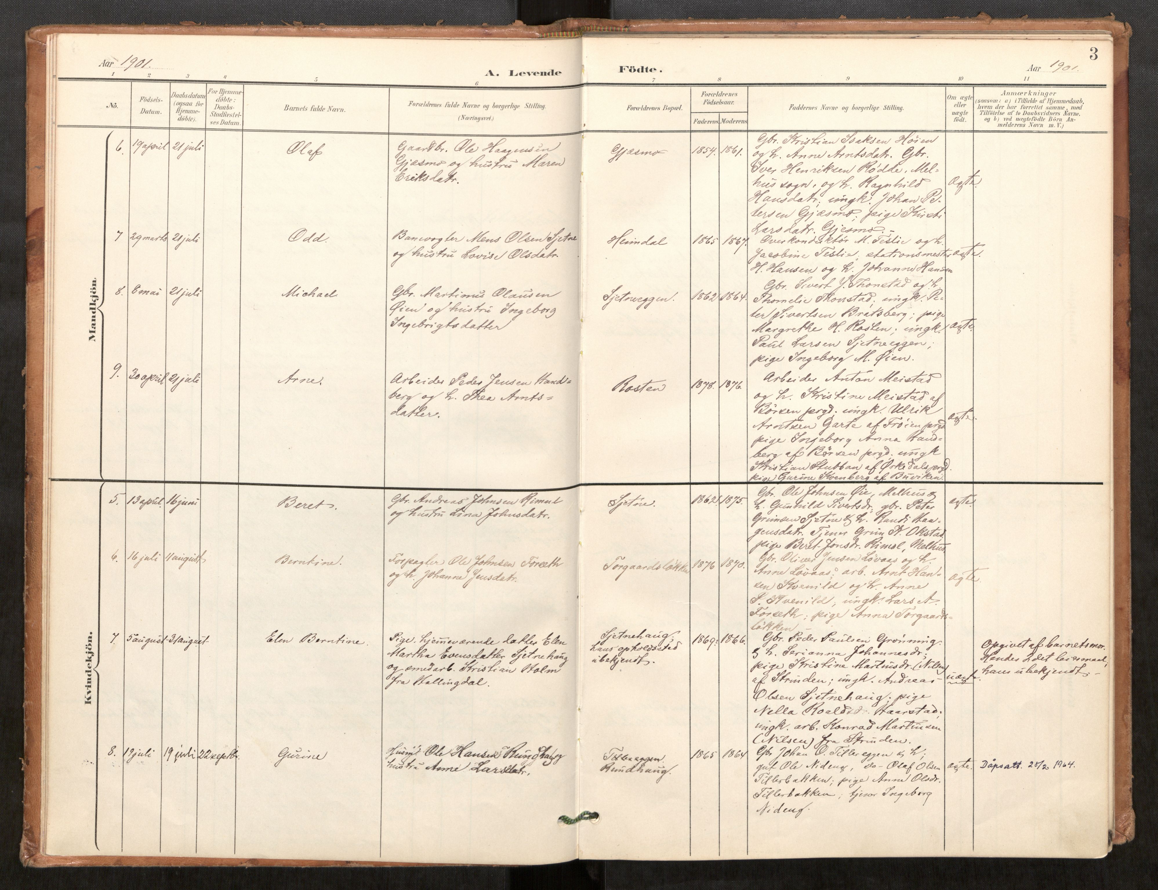 Klæbu sokneprestkontor, SAT/A-1112: Parish register (official) no. 2, 1900-1916, p. 3