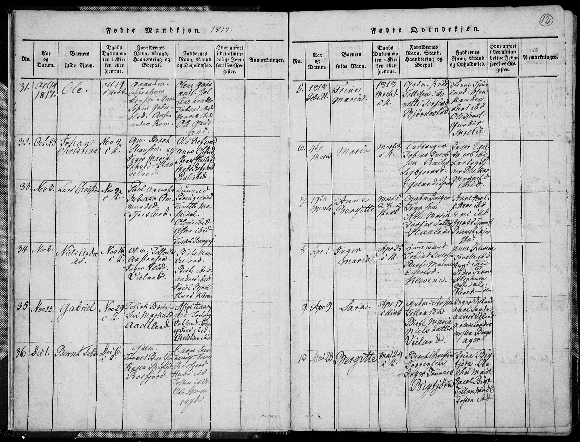 Lyngdal sokneprestkontor, AV/SAK-1111-0029/F/Fa/Fac/L0006: Parish register (official) no. A 6, 1815-1825, p. 12