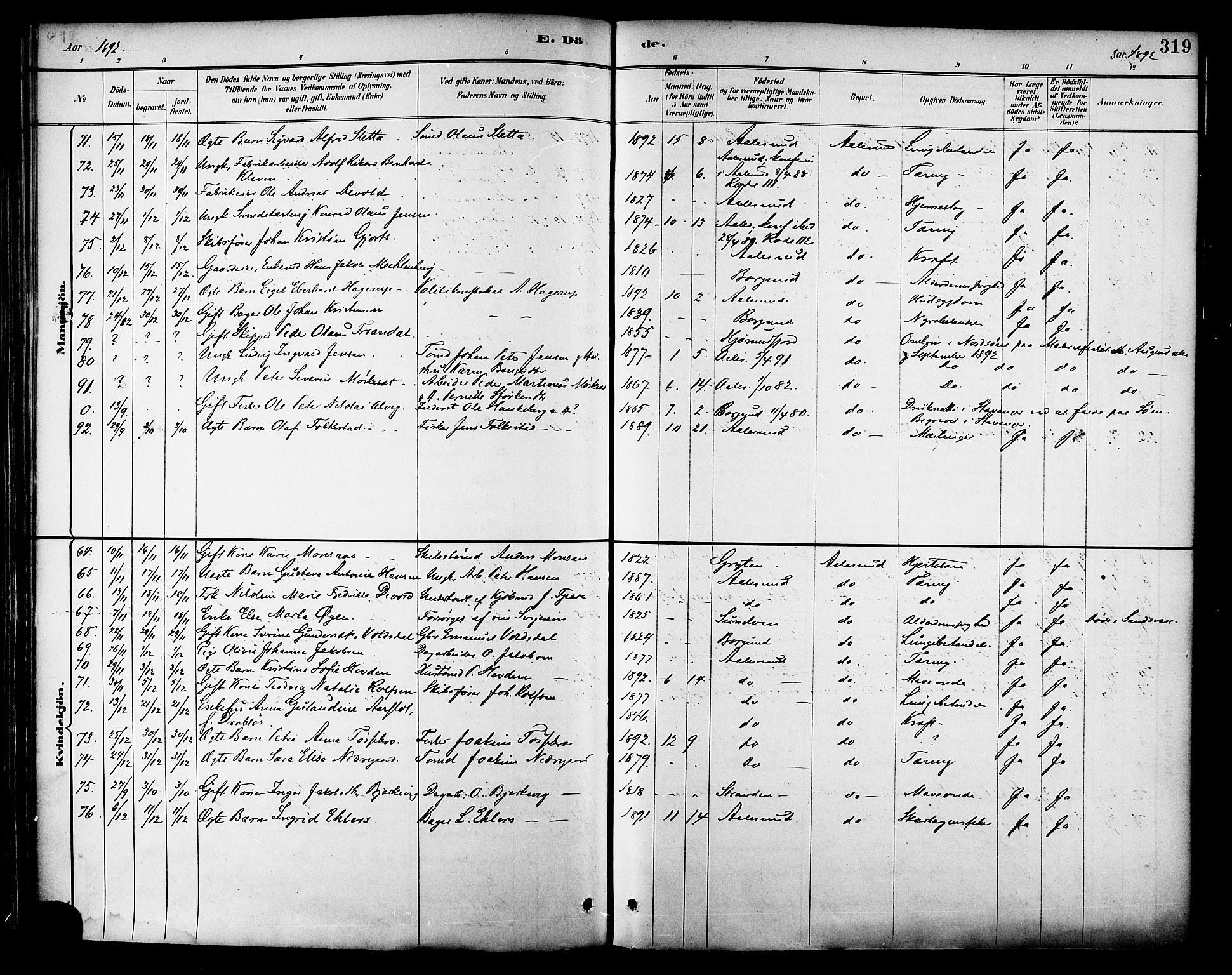 Ministerialprotokoller, klokkerbøker og fødselsregistre - Møre og Romsdal, SAT/A-1454/529/L0455: Parish register (official) no. 529A05, 1885-1893, p. 319