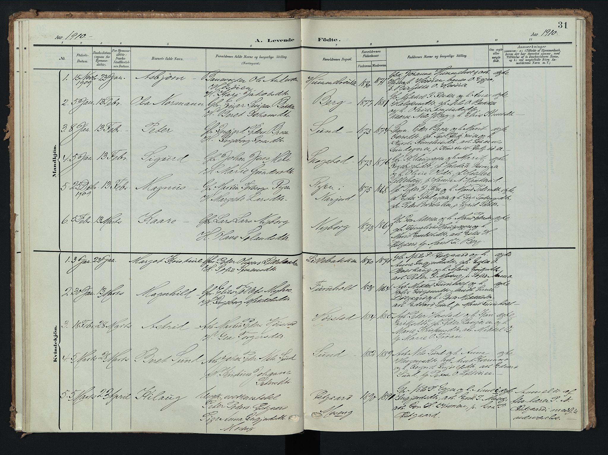 Tolga prestekontor, AV/SAH-PREST-062/K/L0009: Parish register (official) no. 9, 1903-1928, p. 31