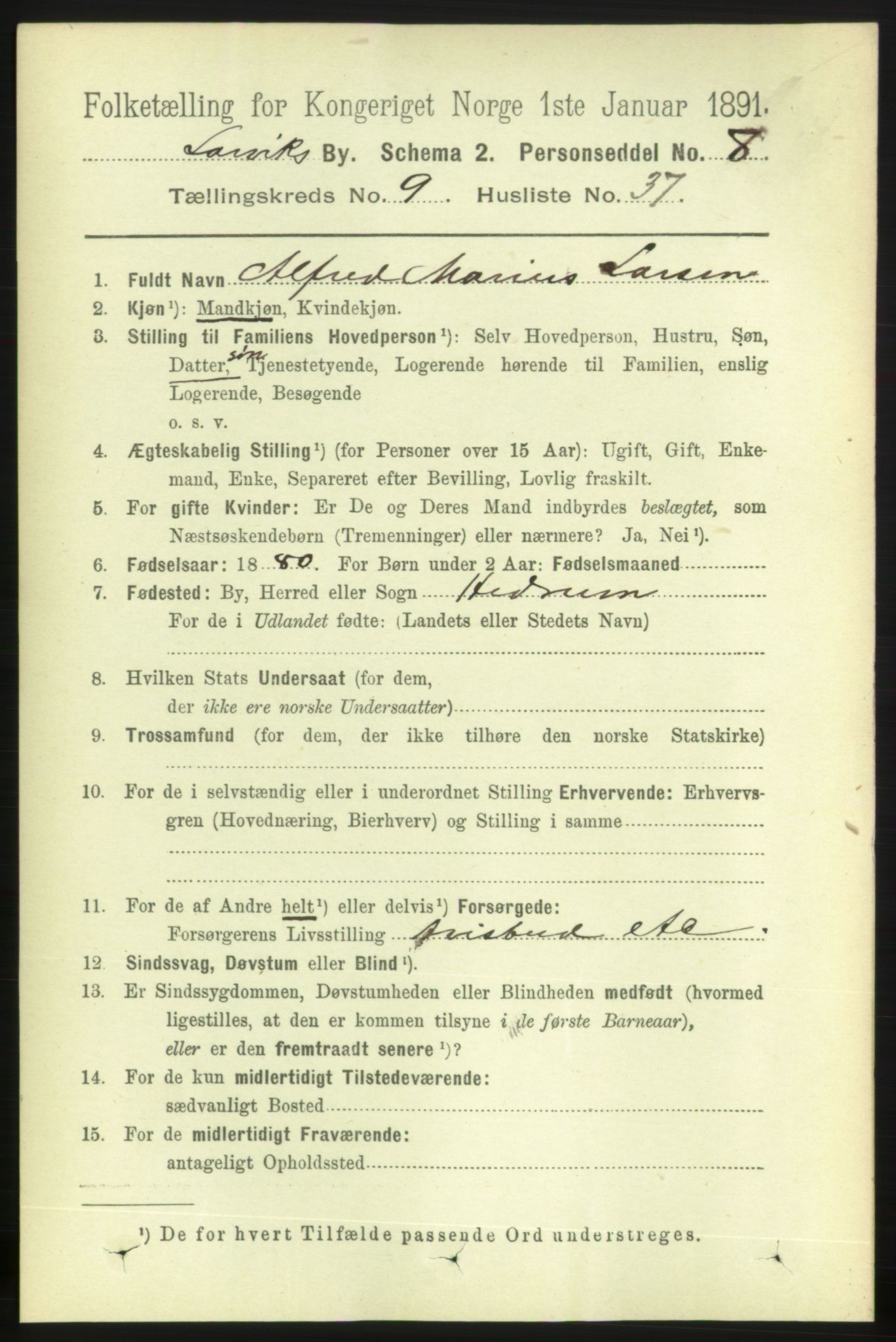 RA, 1891 census for 0707 Larvik, 1891, p. 8866