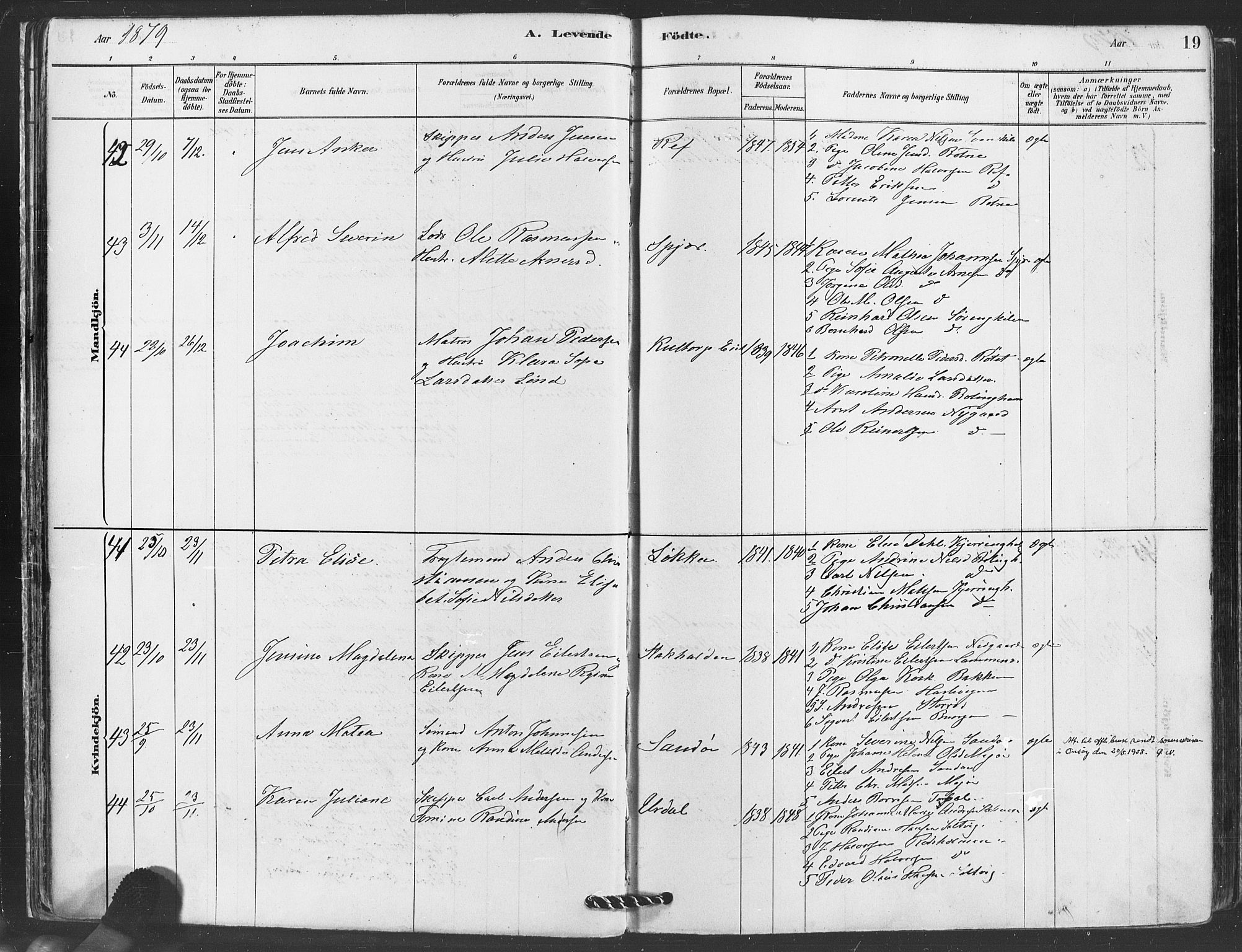 Hvaler prestekontor Kirkebøker, AV/SAO-A-2001/F/Fa/L0008: Parish register (official) no. I 8, 1878-1895, p. 19