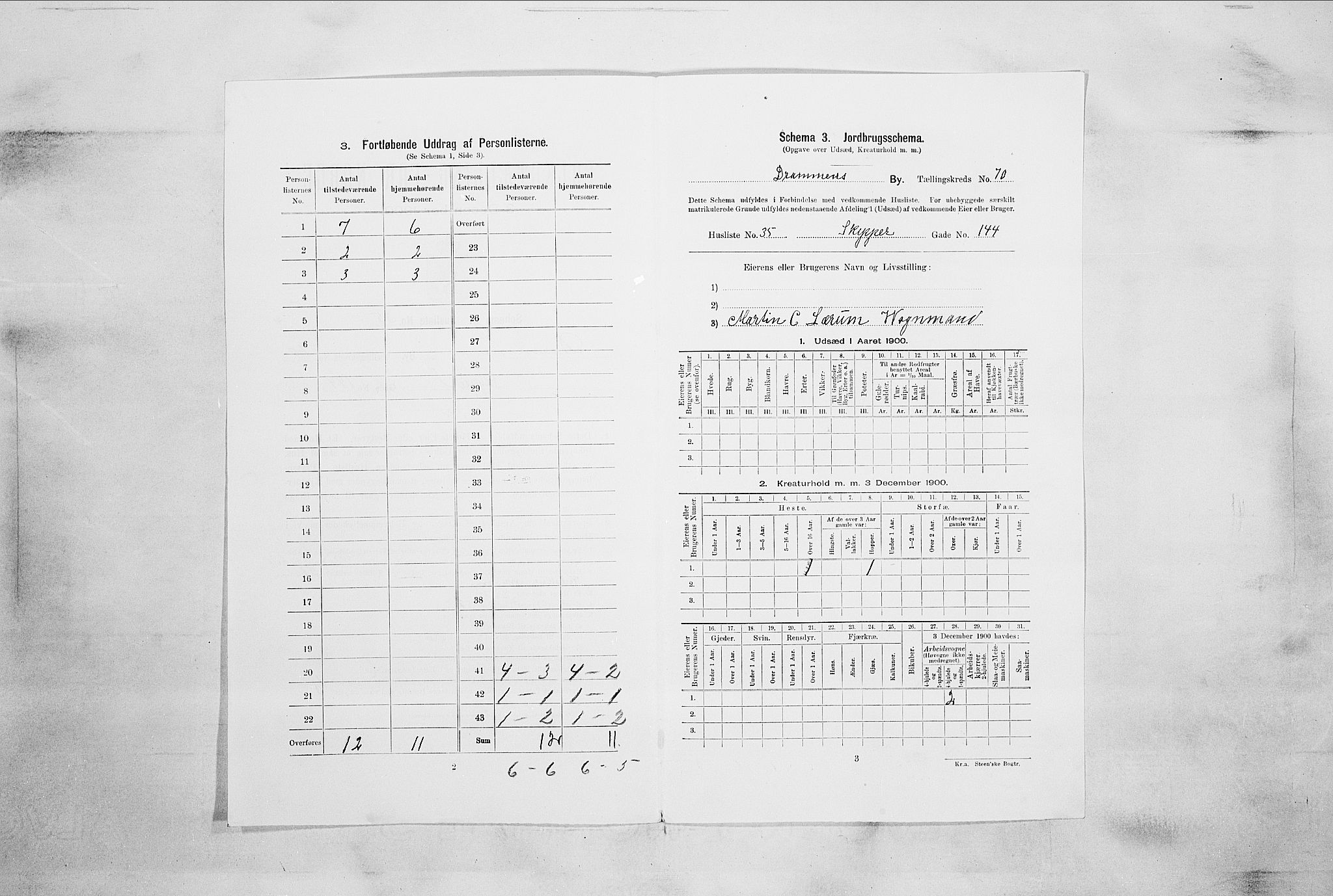 RA, 1900 census for Drammen, 1900, p. 14289