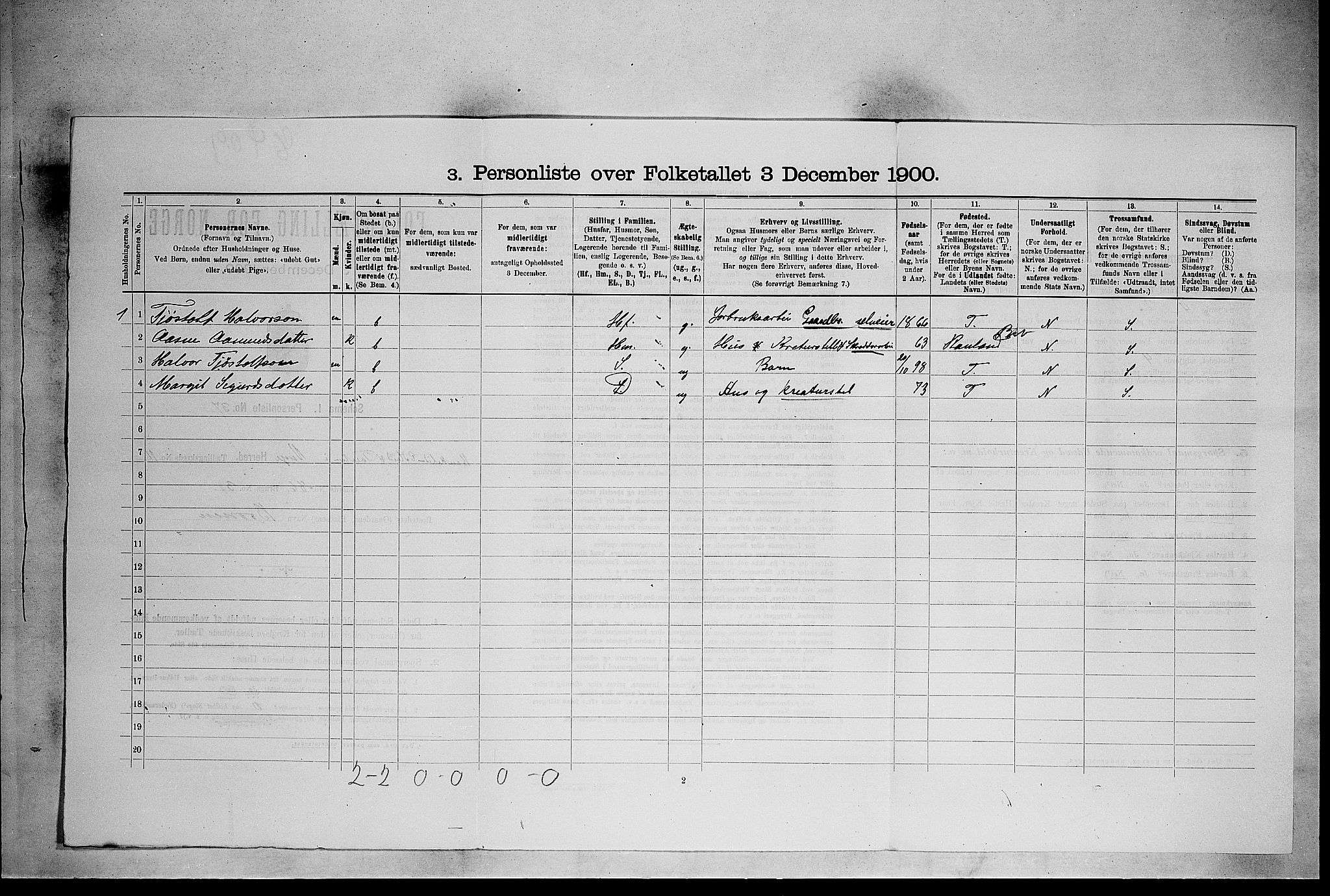 SAKO, 1900 census for Vinje, 1900, p. 574