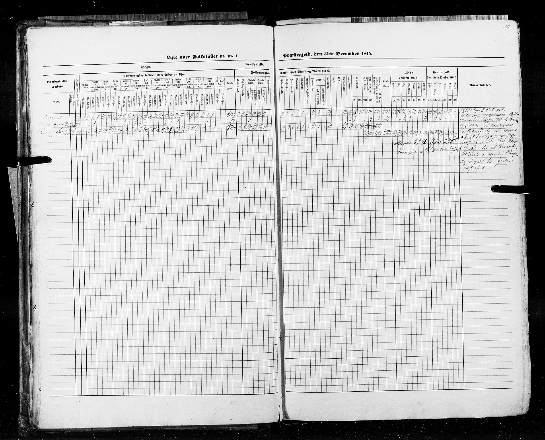 RA, Census 1845, vol. 5: Bratsberg amt og Nedenes og Råbyggelaget amt, 1845, p. 20