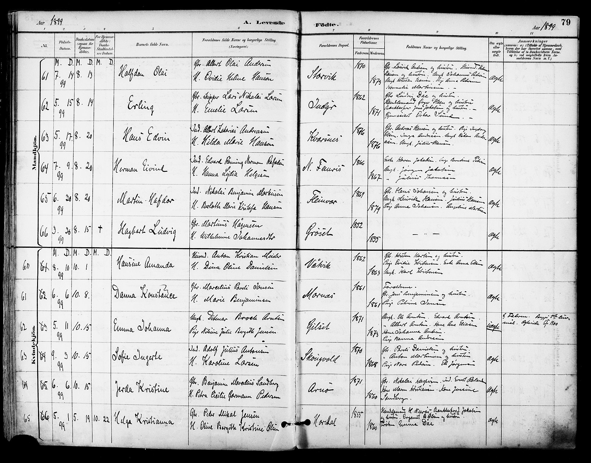 Ministerialprotokoller, klokkerbøker og fødselsregistre - Nordland, SAT/A-1459/805/L0101: Parish register (official) no. 805A07, 1892-1899, p. 79