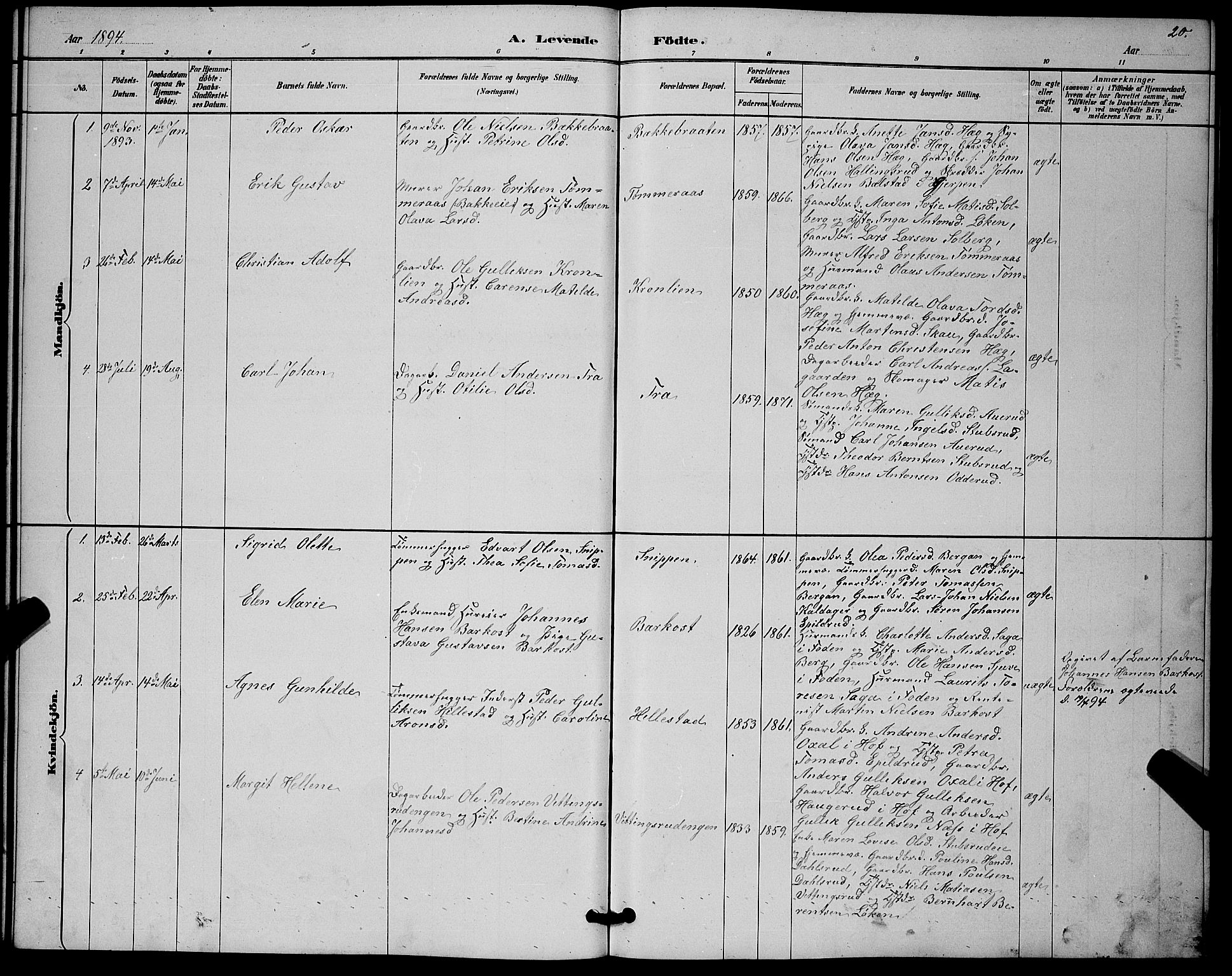 Botne kirkebøker, AV/SAKO-A-340/G/Gb/L0003: Parish register (copy) no. II 3, 1887-1899, p. 20