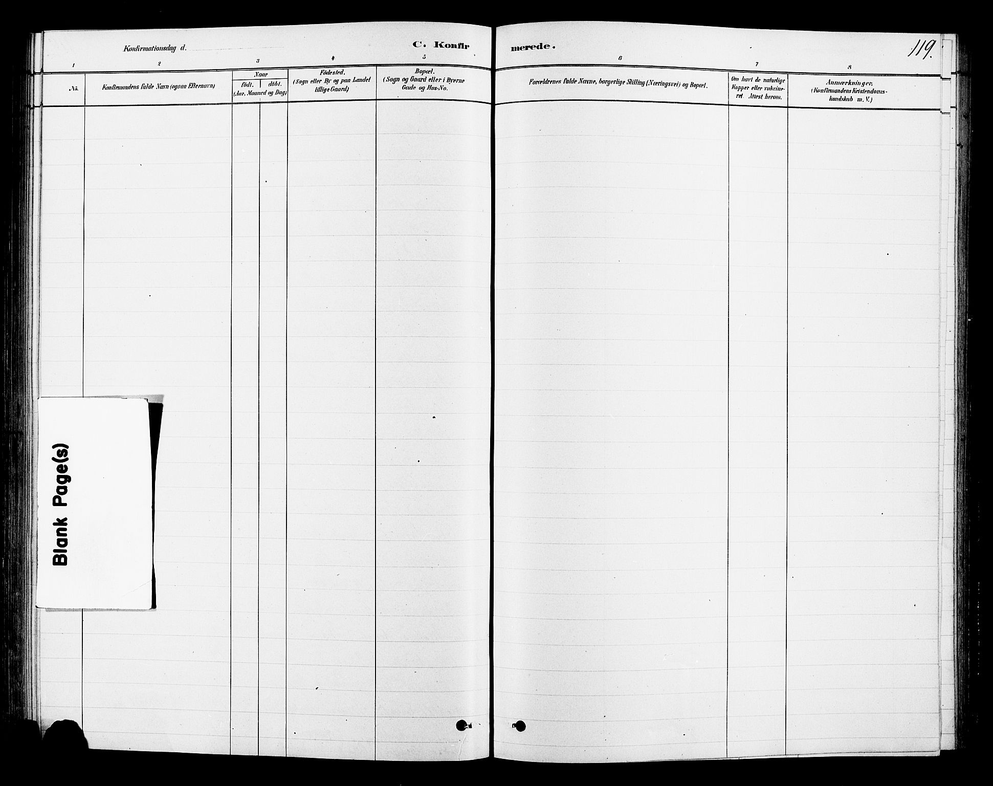 Ringsaker prestekontor, AV/SAH-PREST-014/L/La/L0010: Parish register (copy) no. 10, 1879-1890, p. 119