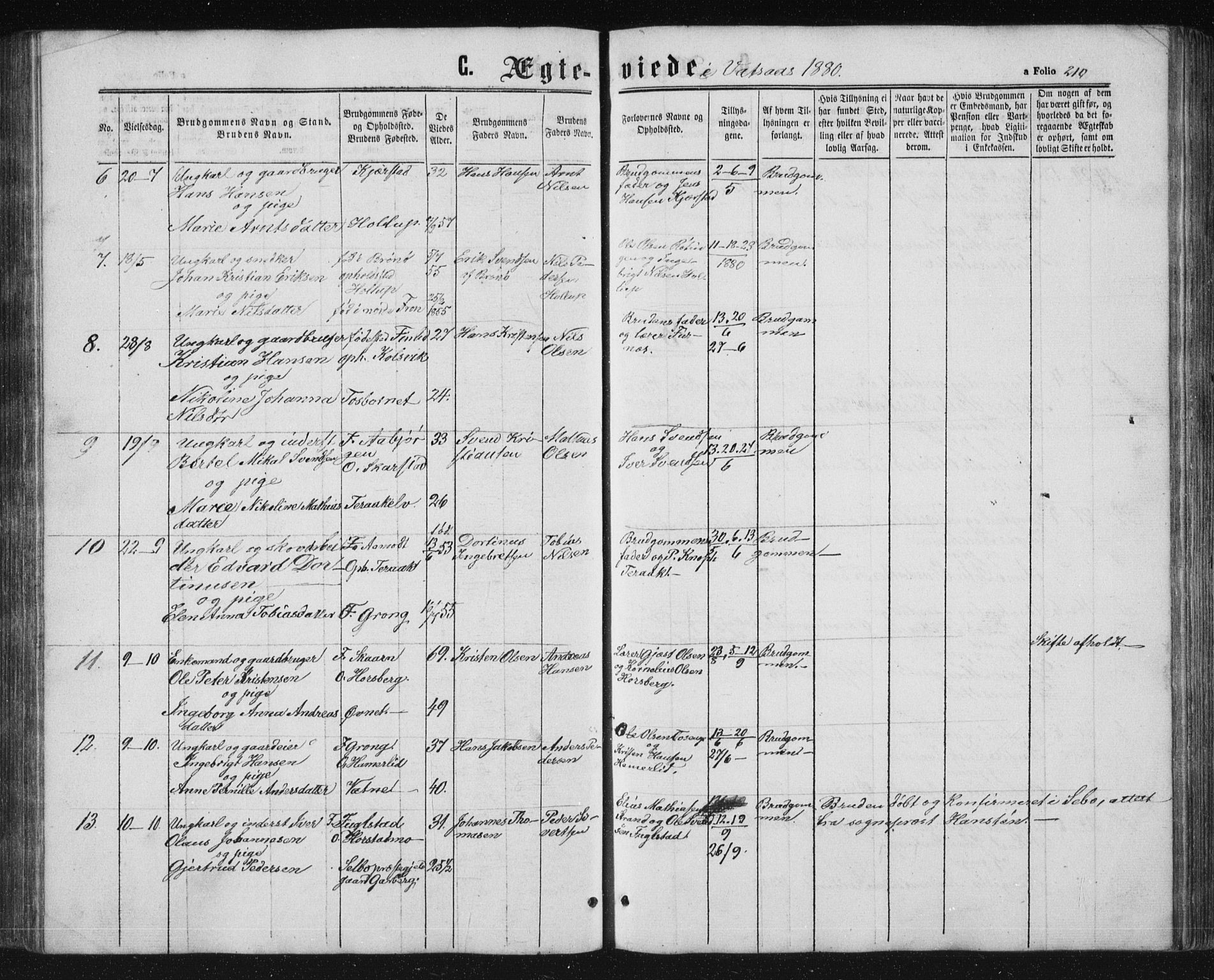 Ministerialprotokoller, klokkerbøker og fødselsregistre - Nordland, AV/SAT-A-1459/810/L0158: Parish register (copy) no. 810C02 /1, 1863-1883, p. 210