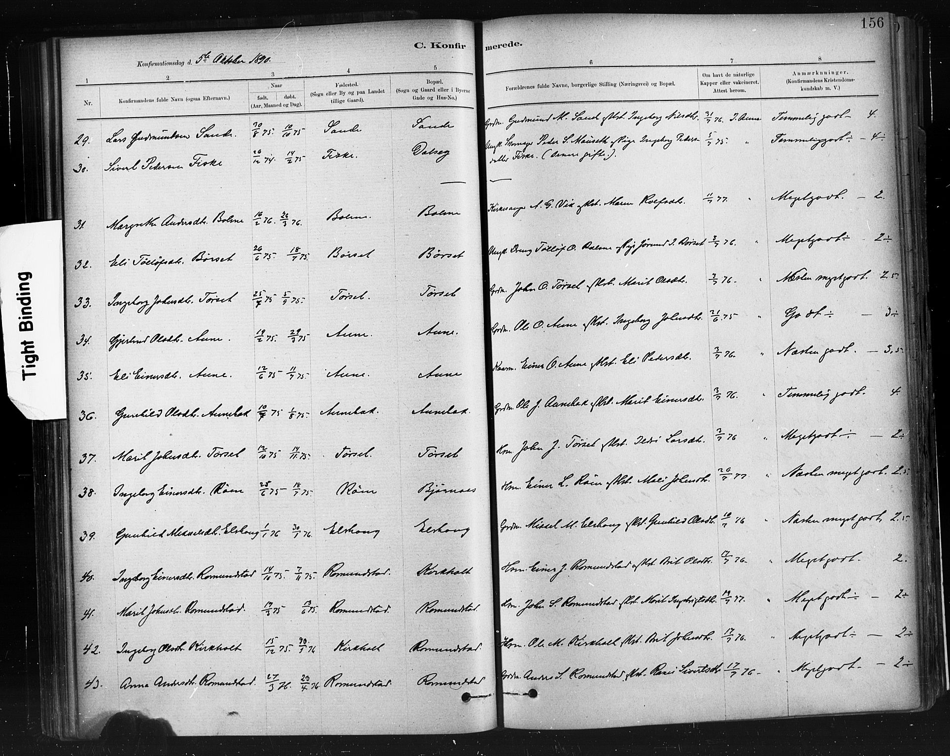 Ministerialprotokoller, klokkerbøker og fødselsregistre - Møre og Romsdal, AV/SAT-A-1454/598/L1069: Parish register (official) no. 598A03, 1882-1895, p. 156