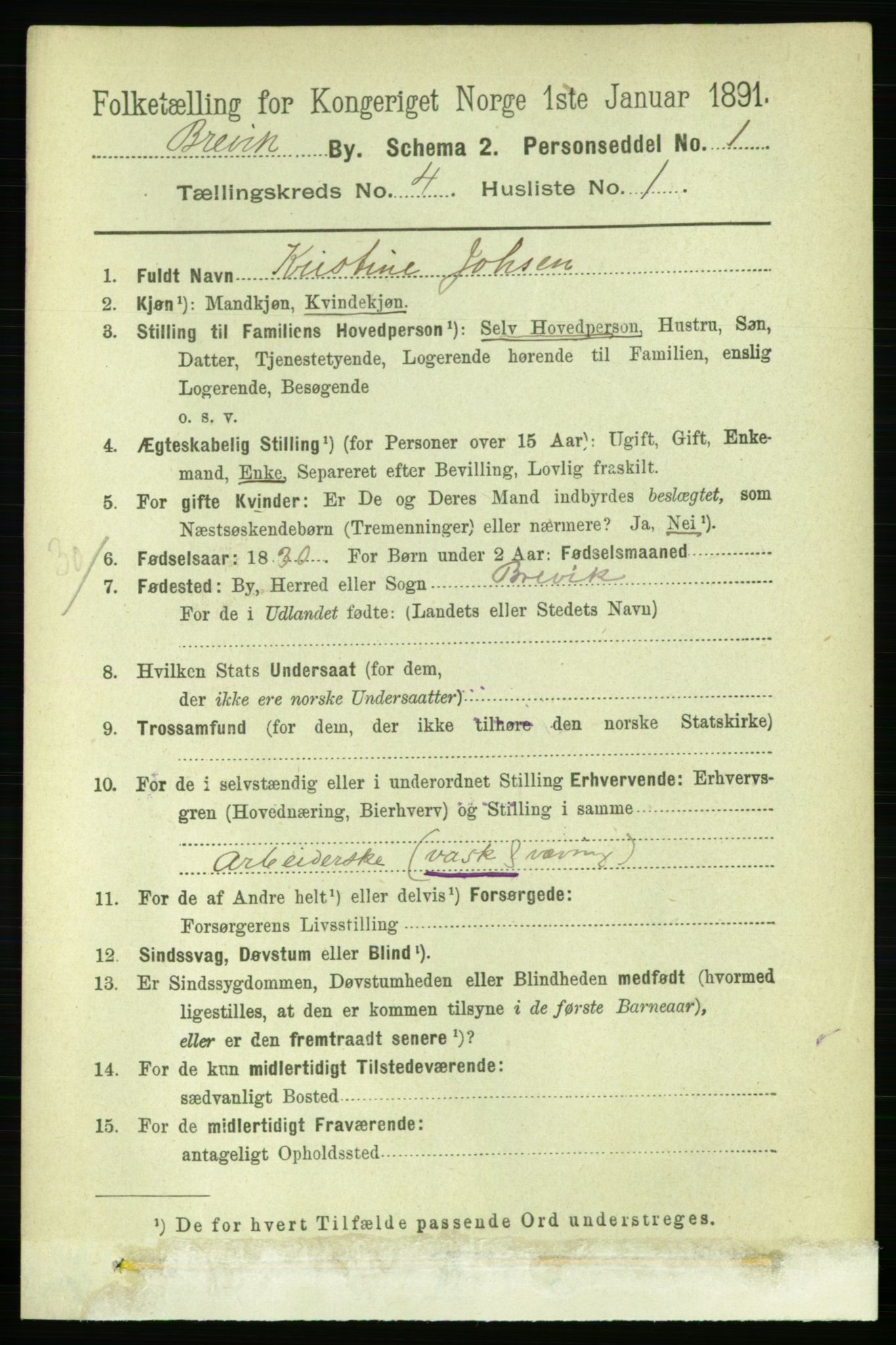 RA, 1891 census for 0804 Brevik, 1891, p. 2699