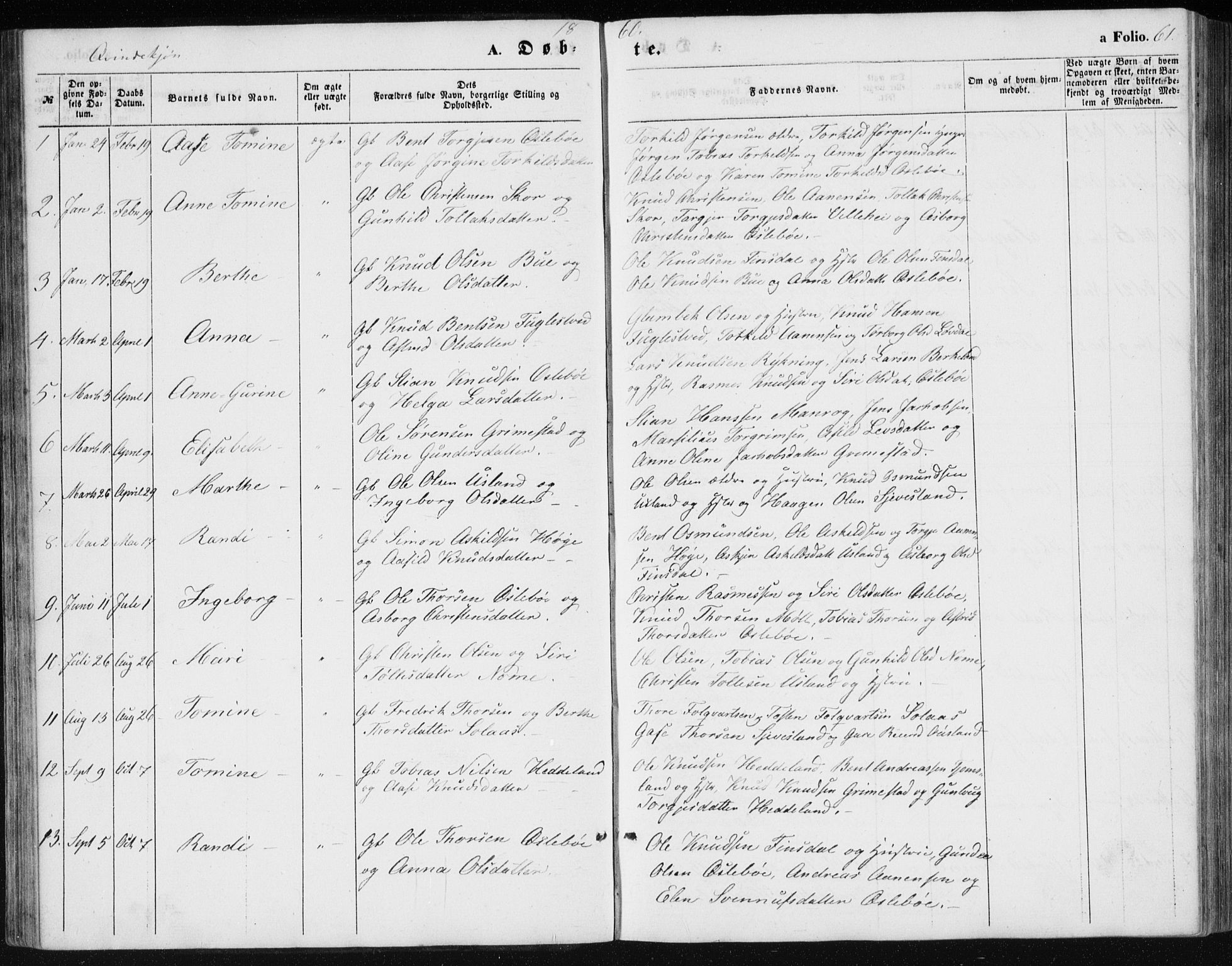 Holum sokneprestkontor, SAK/1111-0022/F/Fb/Fbc/L0002: Parish register (copy) no. B 2, 1860-1882, p. 61