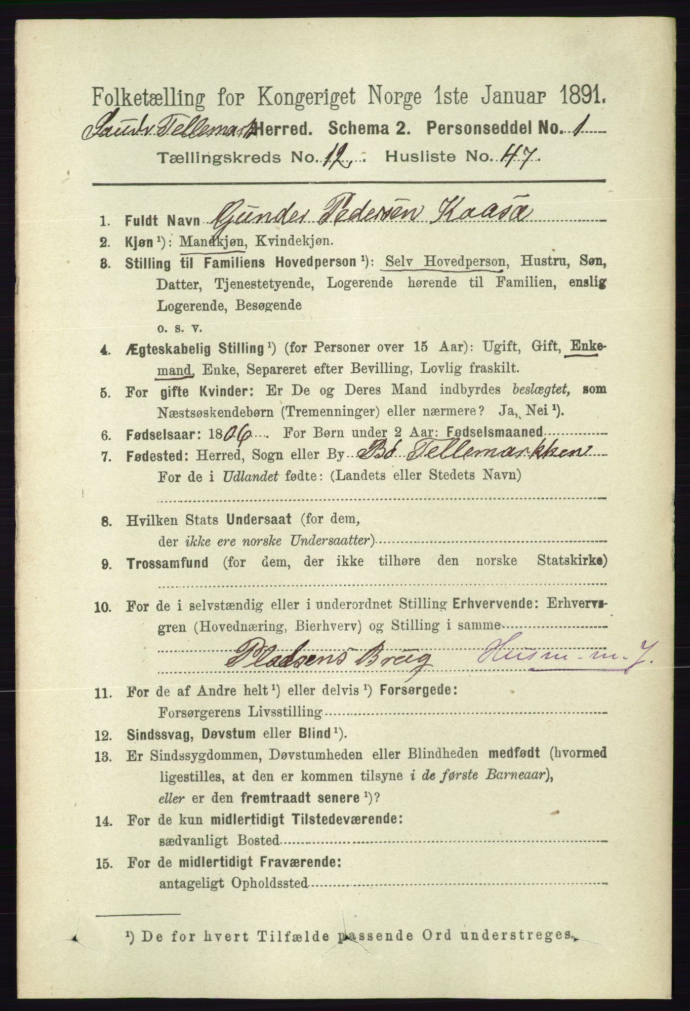 RA, 1891 census for 0822 Sauherad, 1891, p. 3862