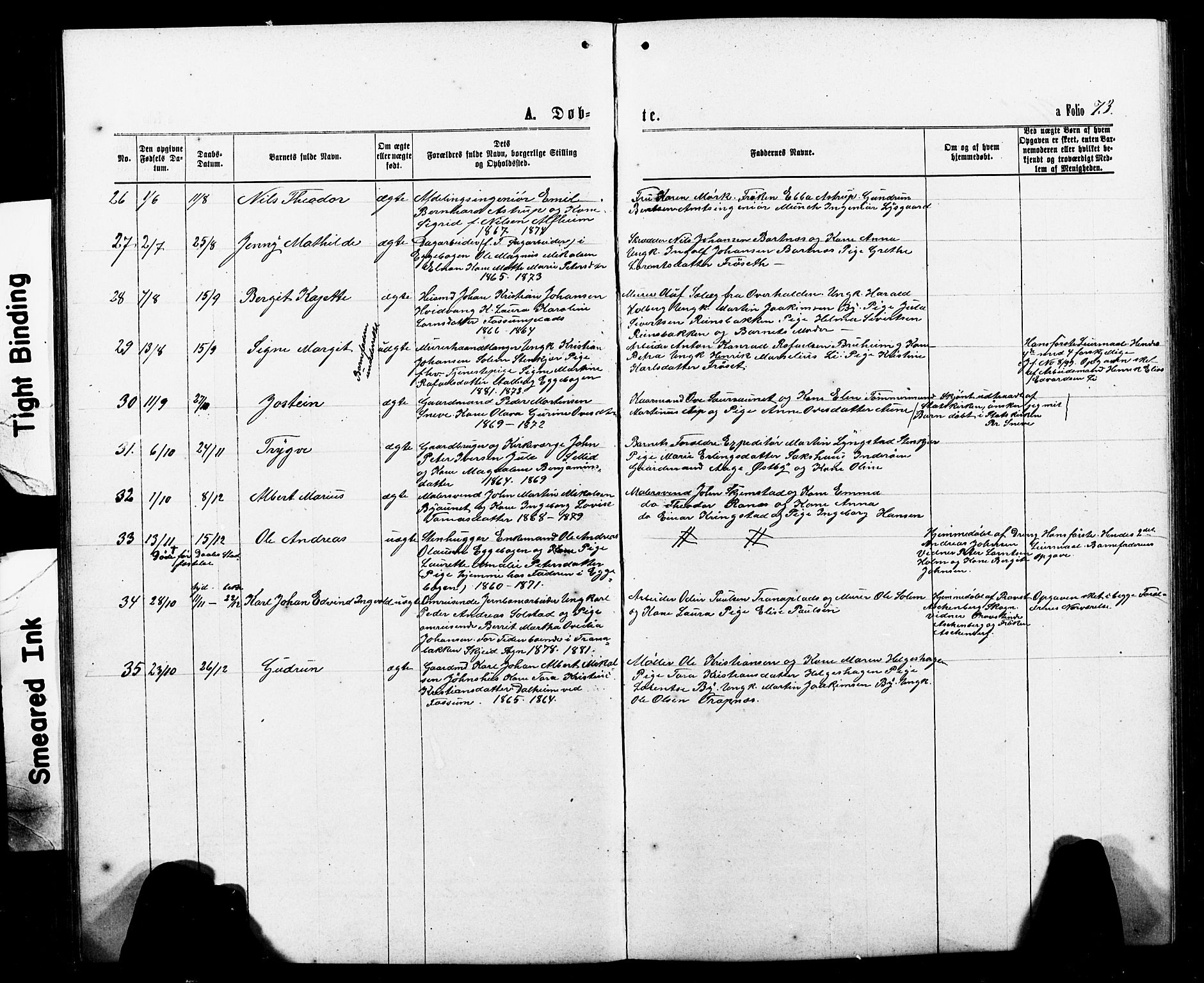 Ministerialprotokoller, klokkerbøker og fødselsregistre - Nord-Trøndelag, SAT/A-1458/740/L0380: Parish register (copy) no. 740C01, 1868-1902, p. 73