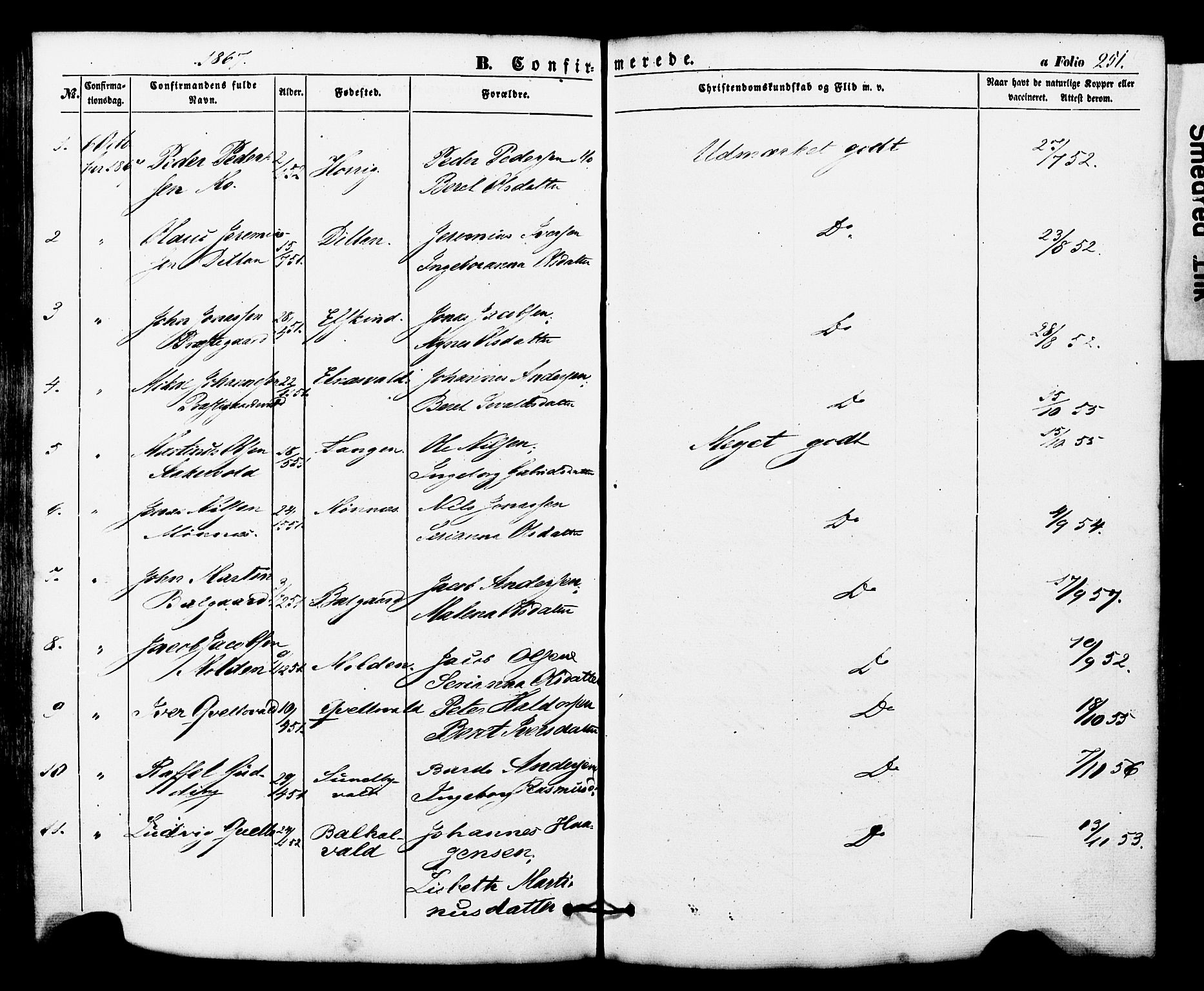 Ministerialprotokoller, klokkerbøker og fødselsregistre - Nord-Trøndelag, SAT/A-1458/724/L0268: Parish register (copy) no. 724C04, 1846-1878, p. 251