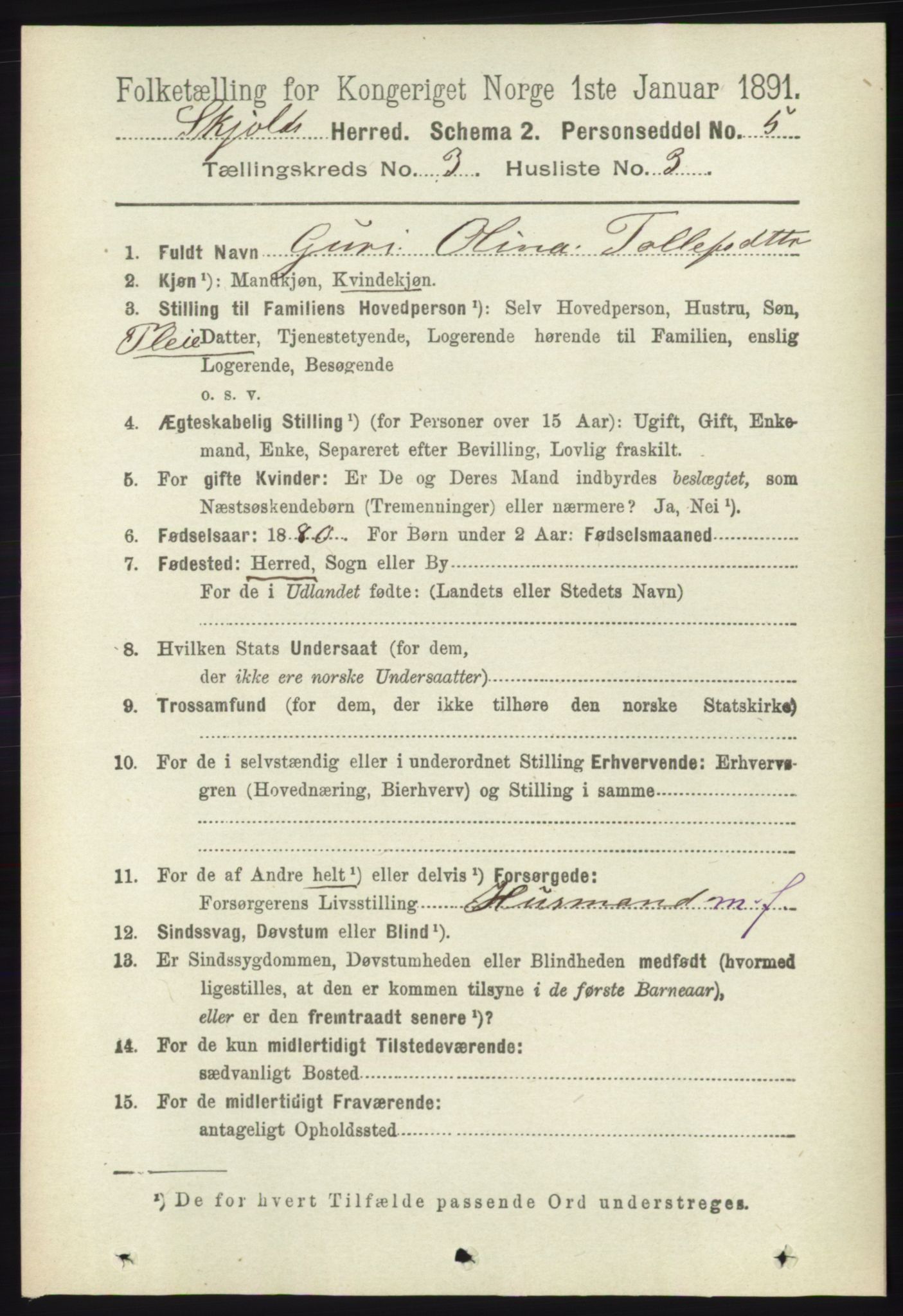 RA, 1891 census for 1154 Skjold, 1891, p. 394