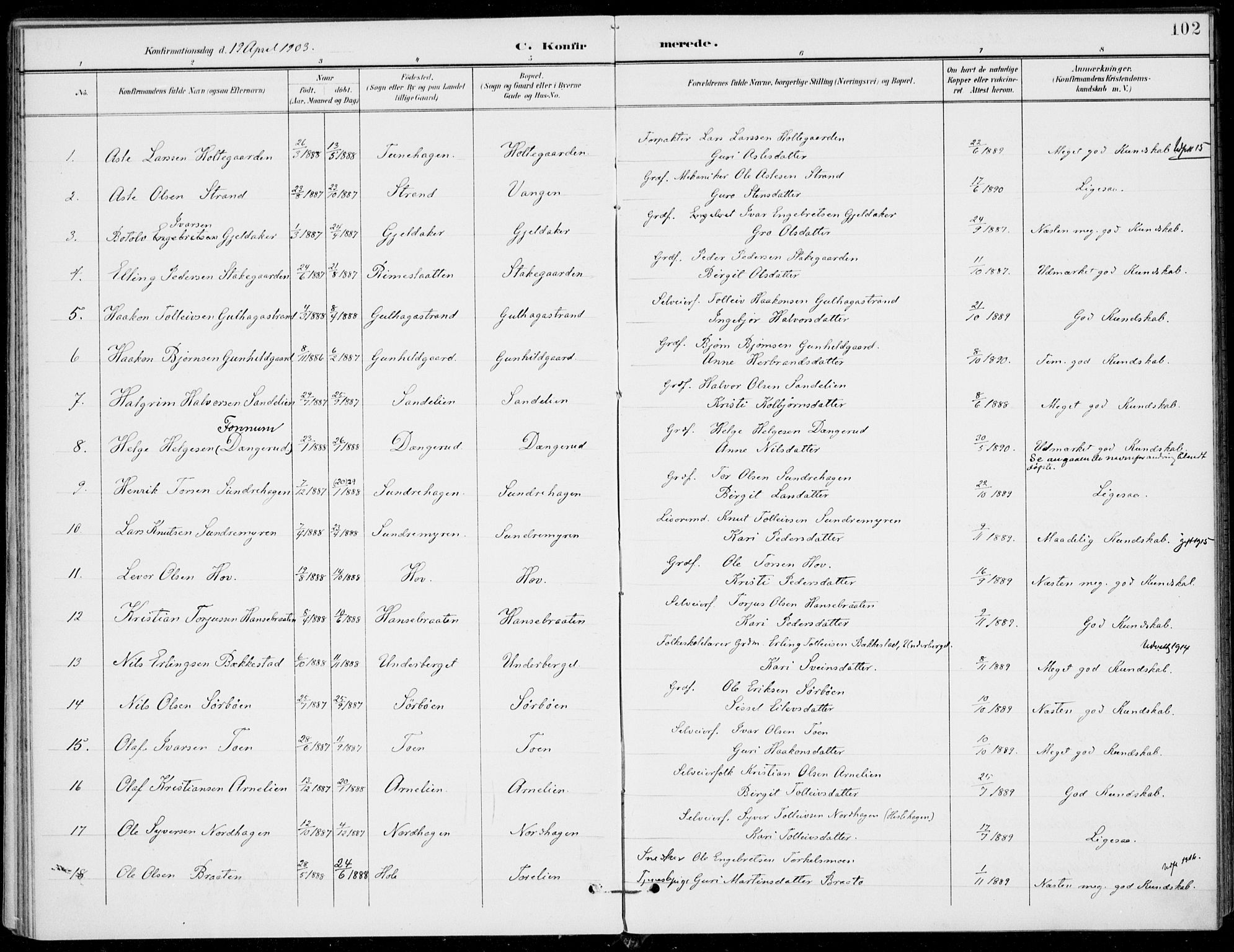 Ål kirkebøker, AV/SAKO-A-249/F/Fa/L0009: Parish register (official) no. I 9, 1897-1915, p. 102